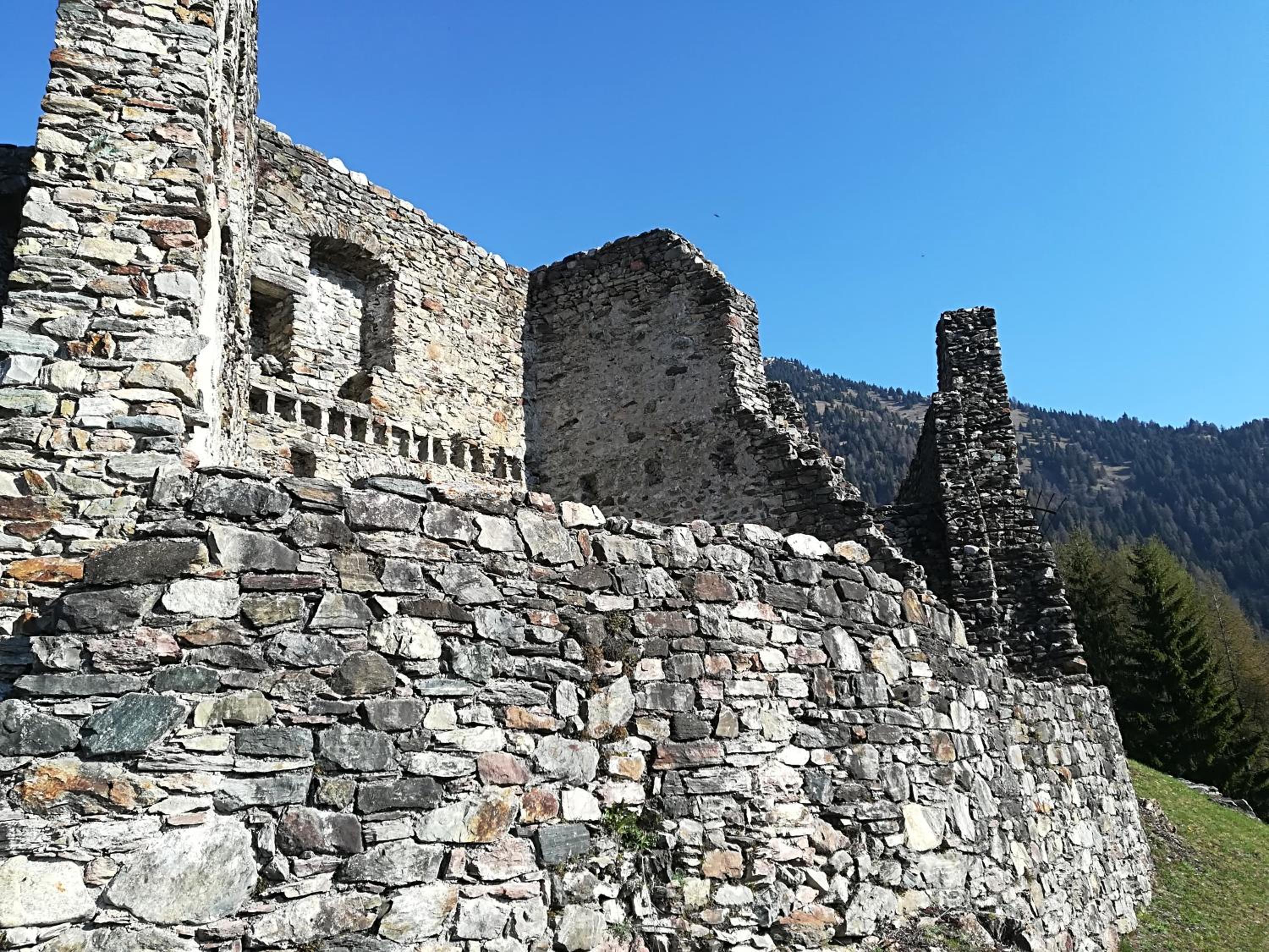 Photo 41