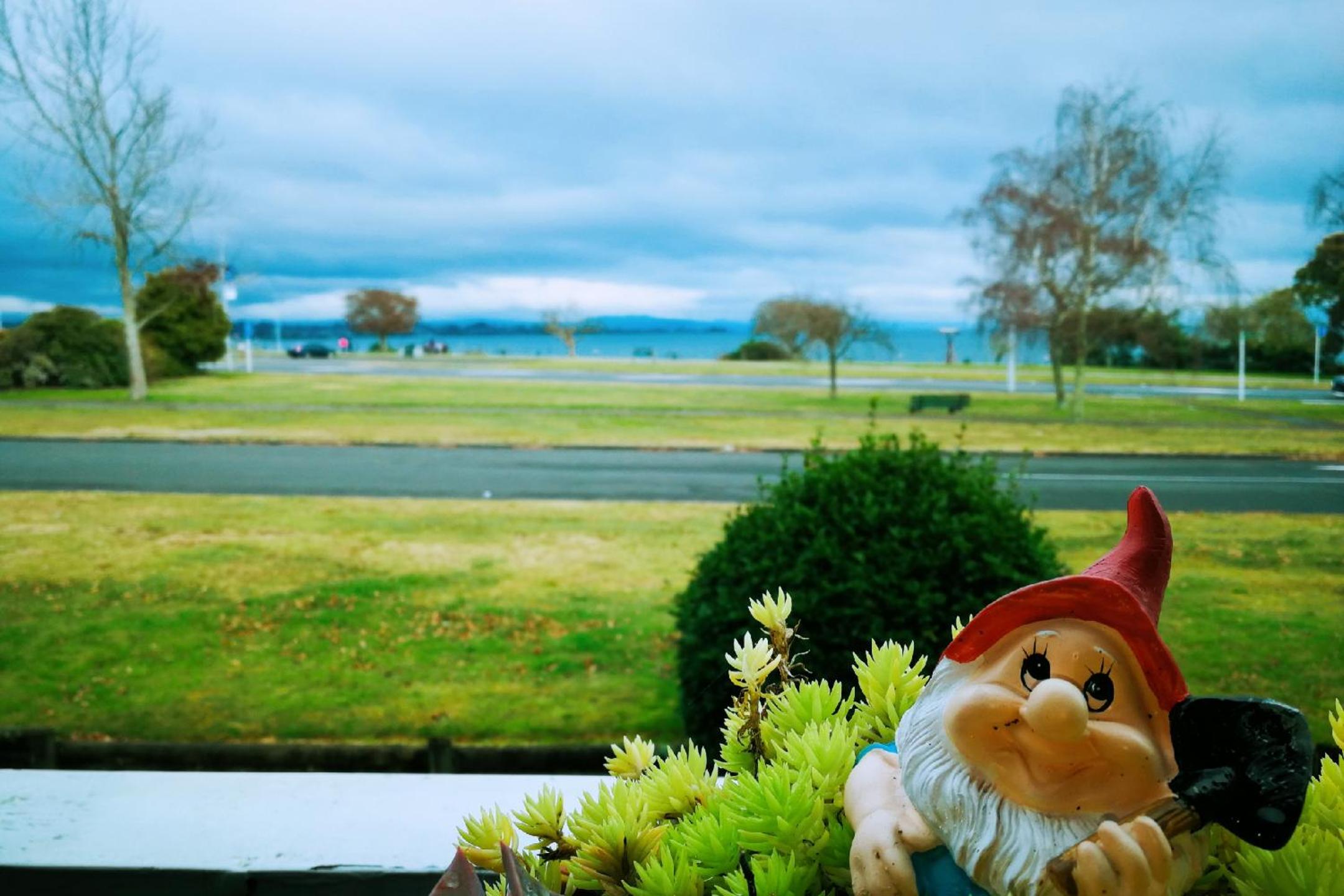Le Chalet Suisse Motel Taupo — photo 43