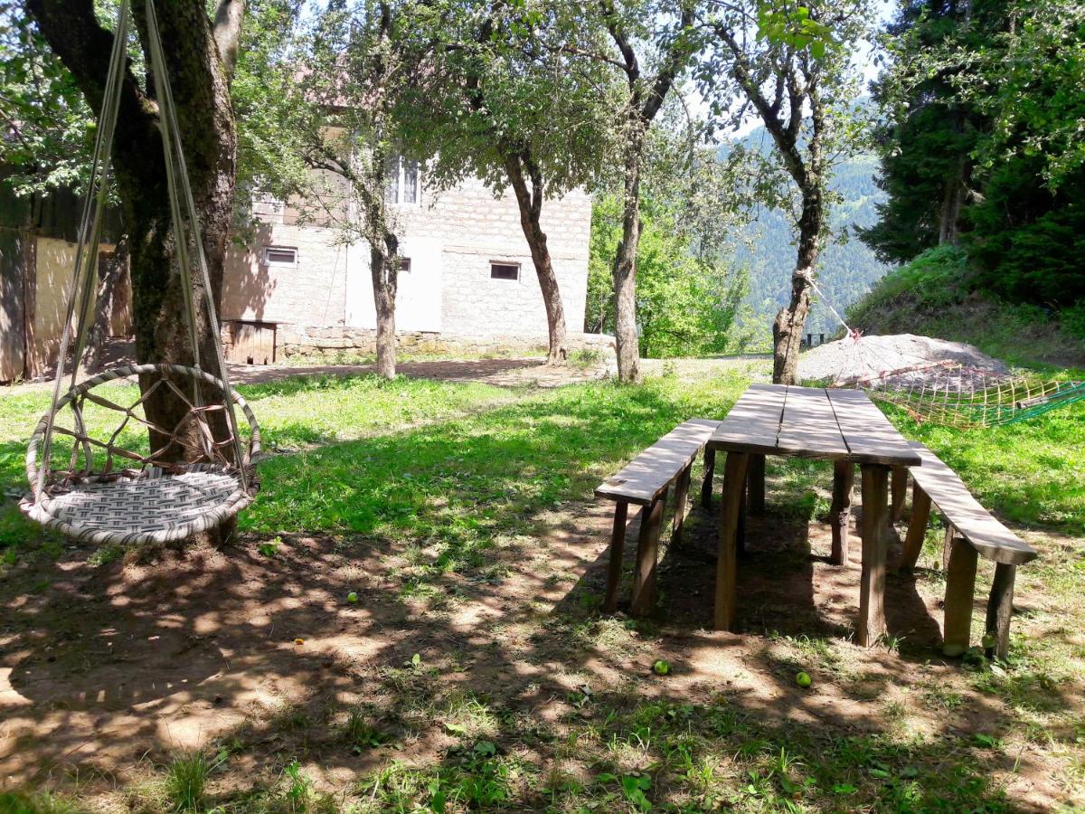 Photo 19