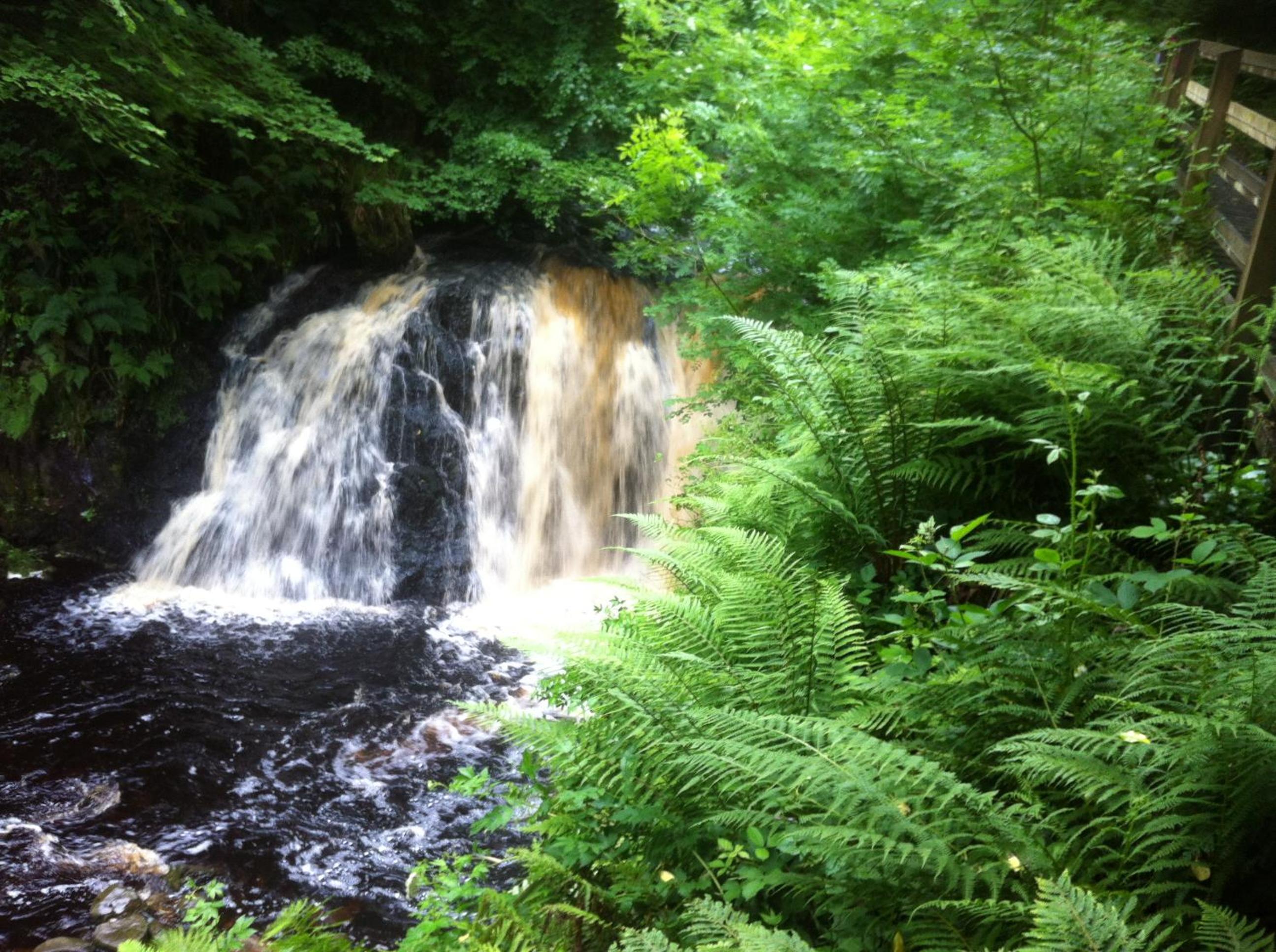 Photo 6