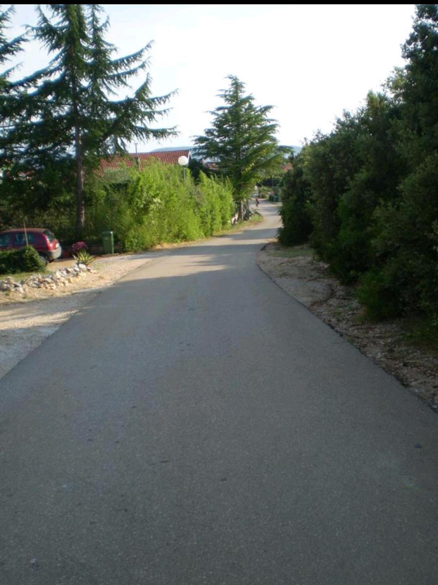 Photo 43