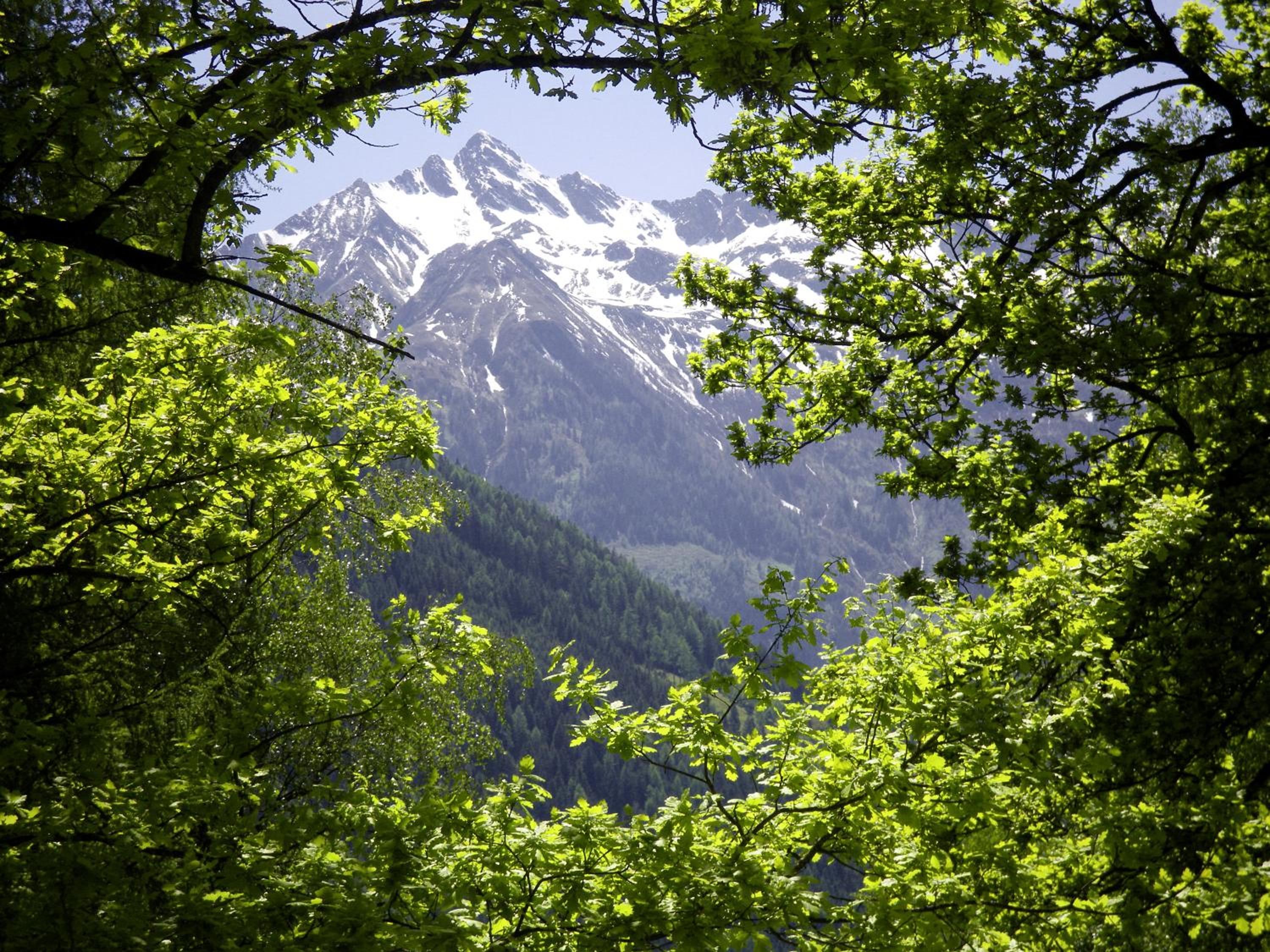 Pension Garni Burgwies ink Nationalpark Sommercard