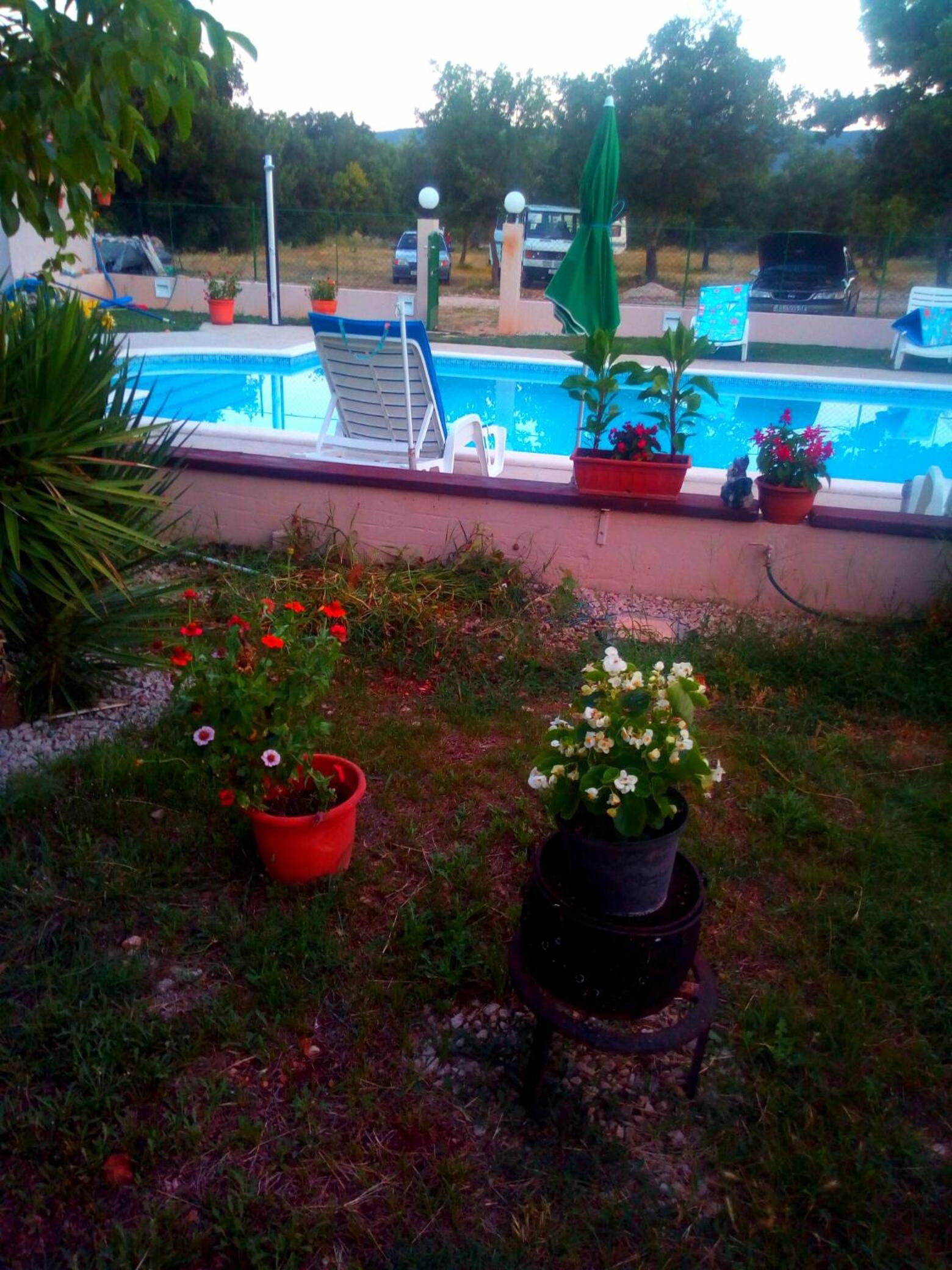 Photo 31