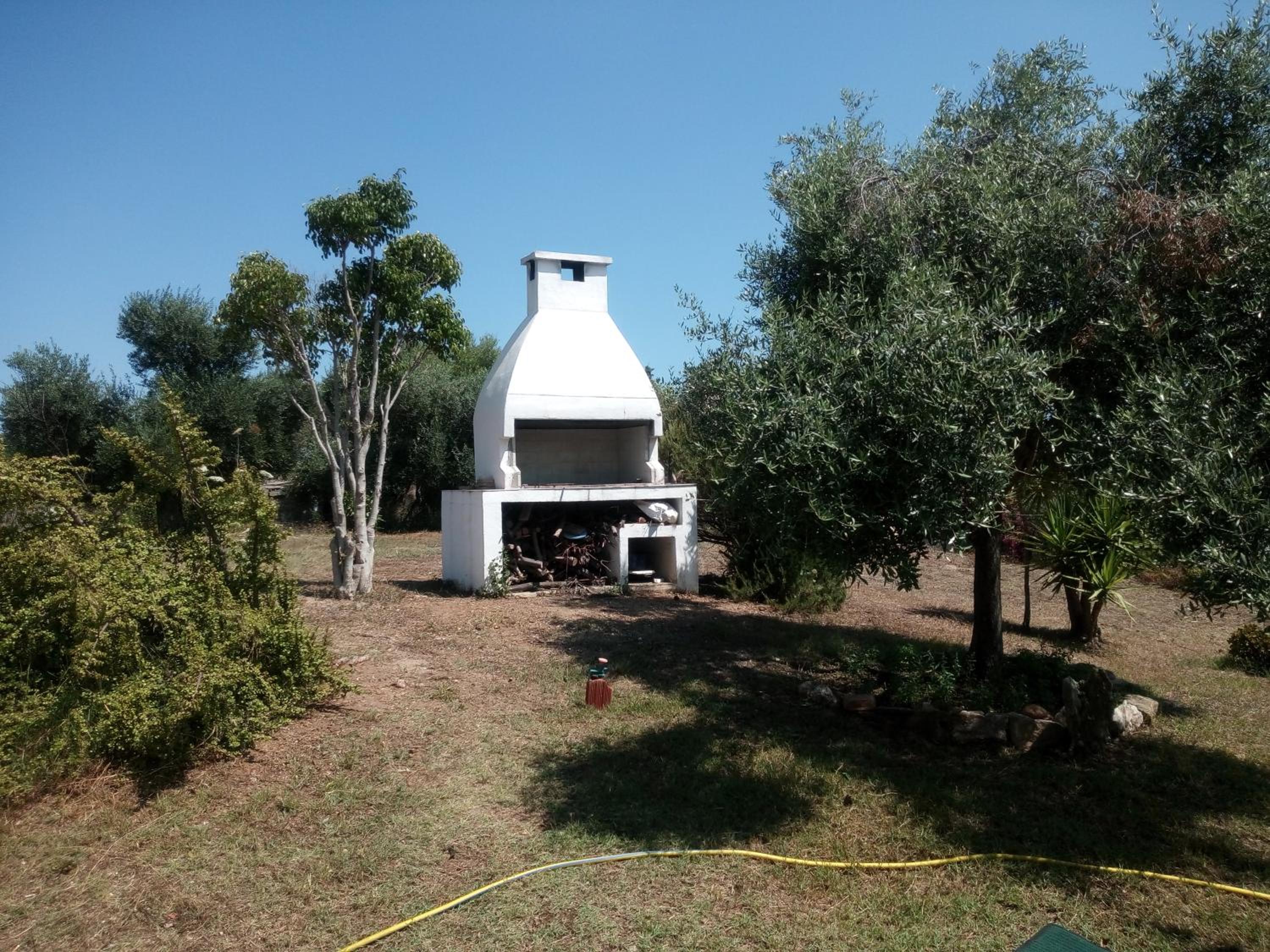 Photo 45