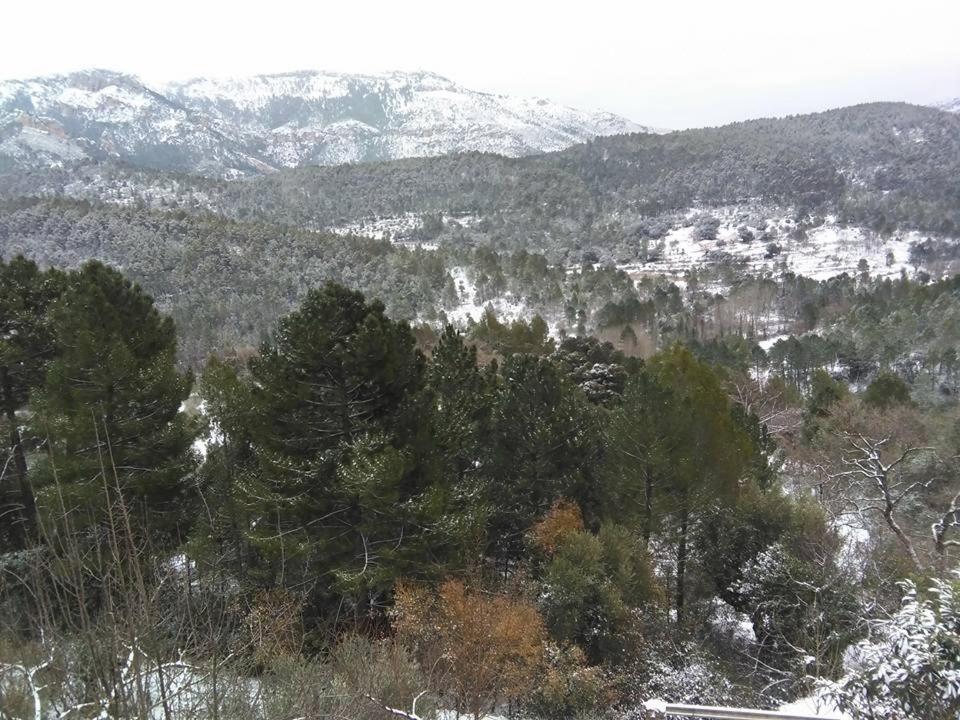 Casas rurales amable- yeste