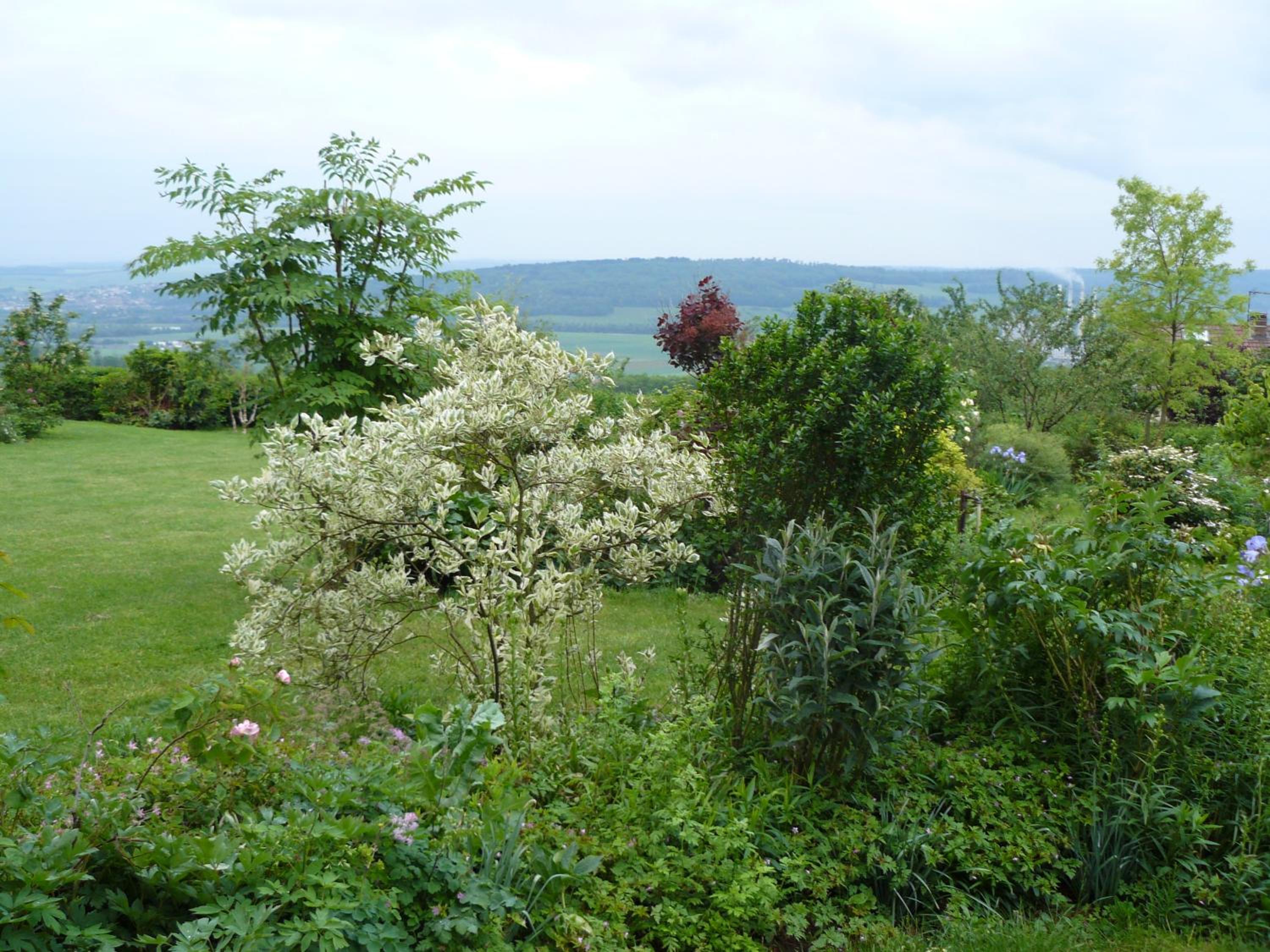 Photo 6