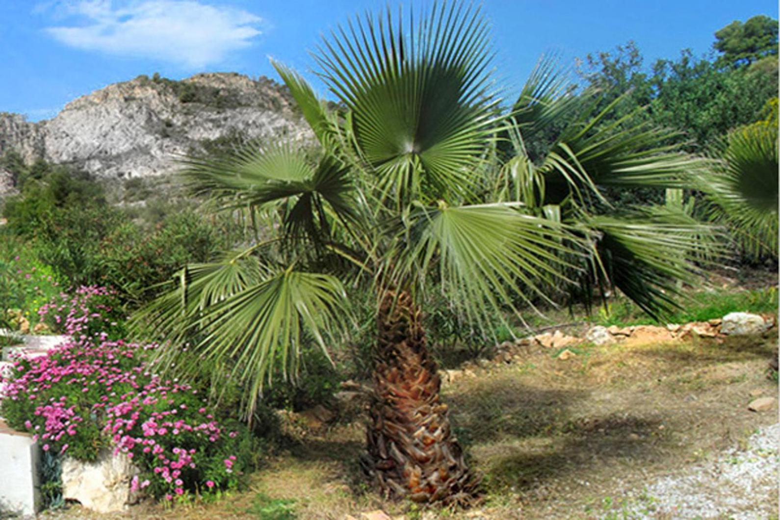 Cortijo la Venta