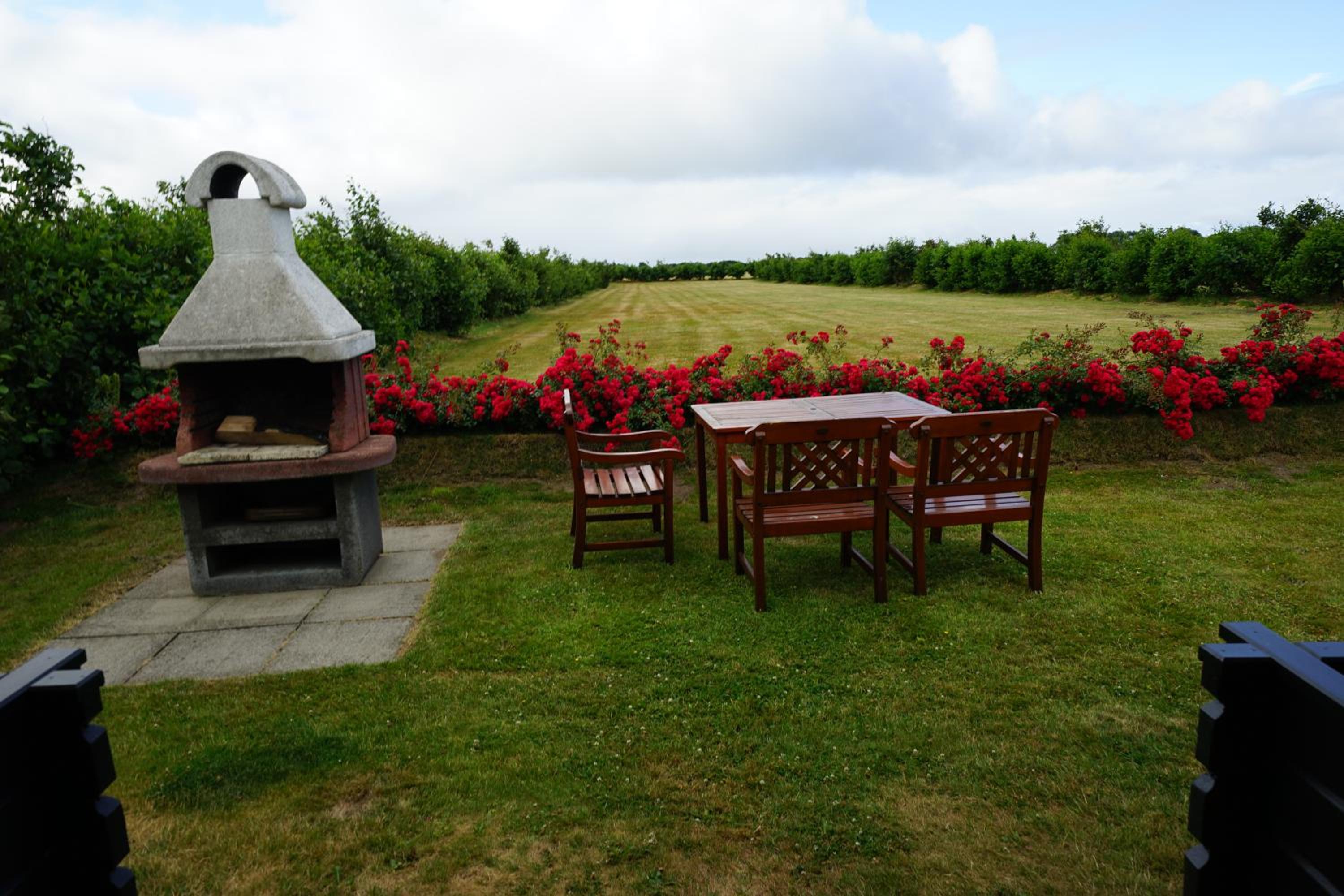 Terpstich 60A en Morsum — activities & amenities