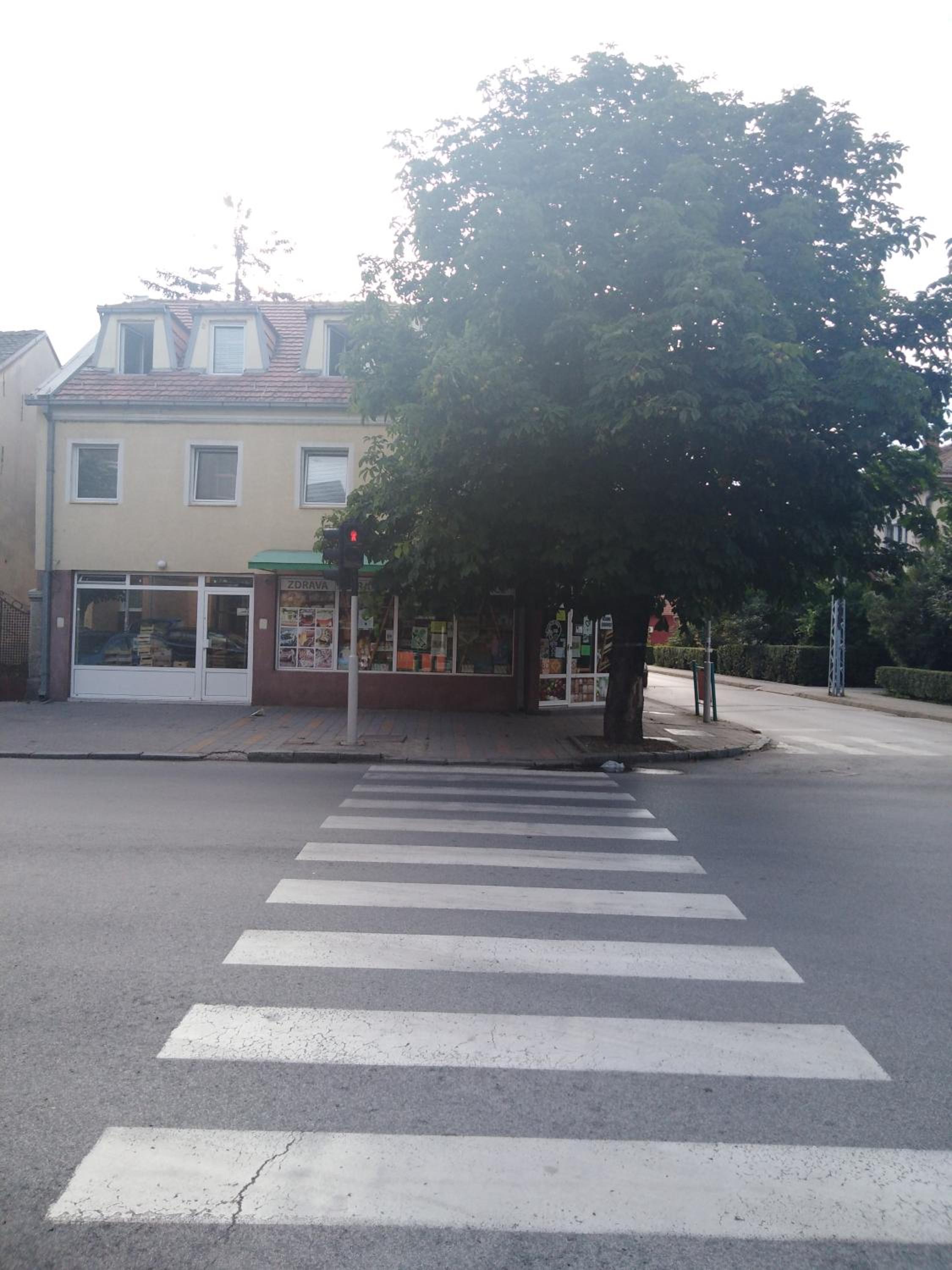 Veliki Park view 4