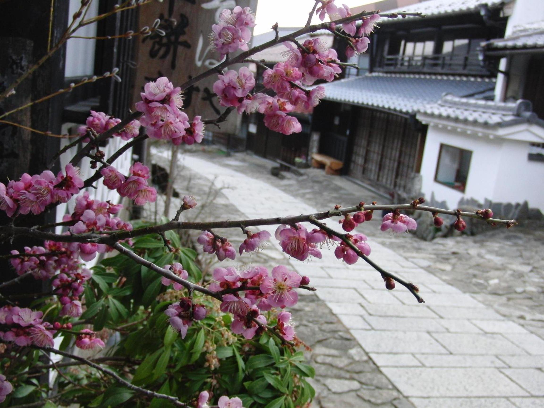Photo 24