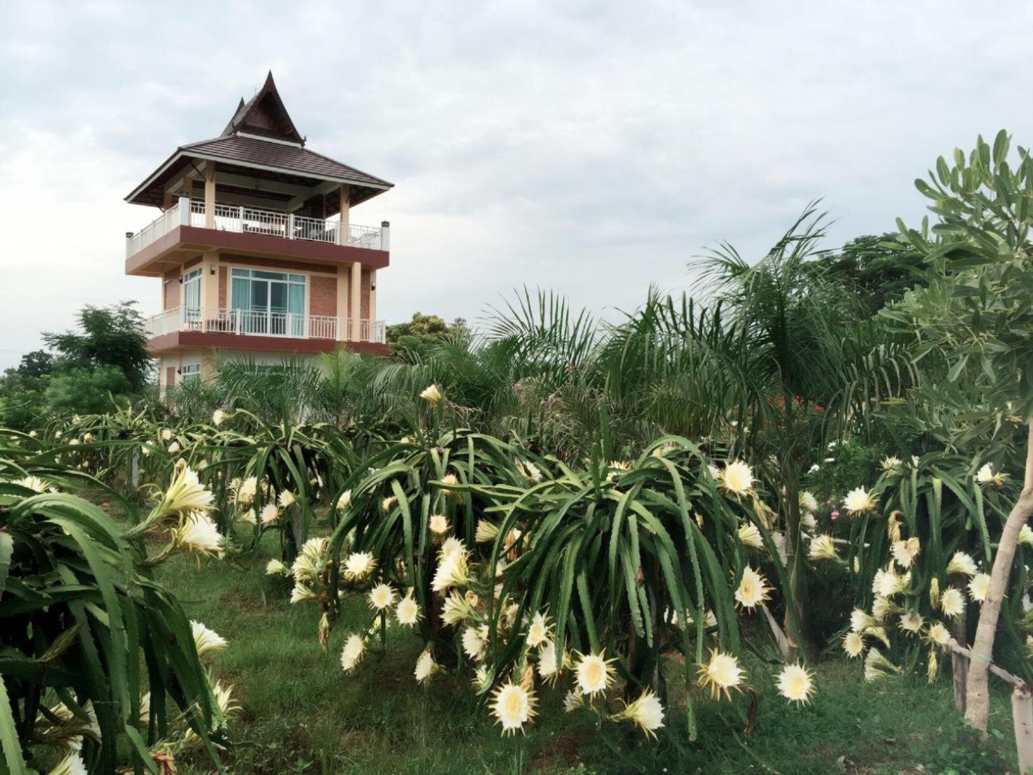 Ok Farm Resort