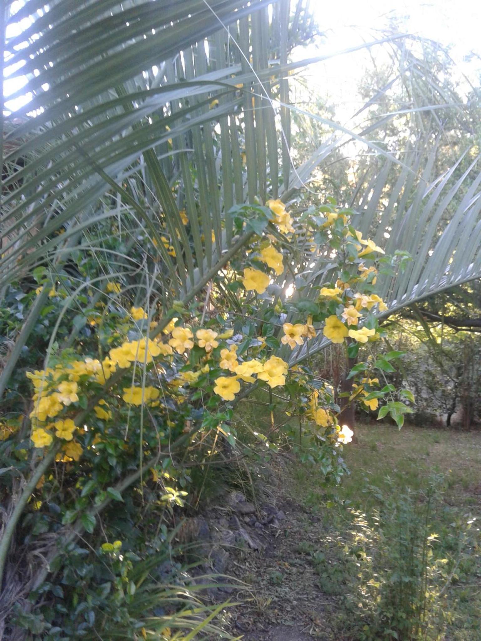 Cabañas Valentina