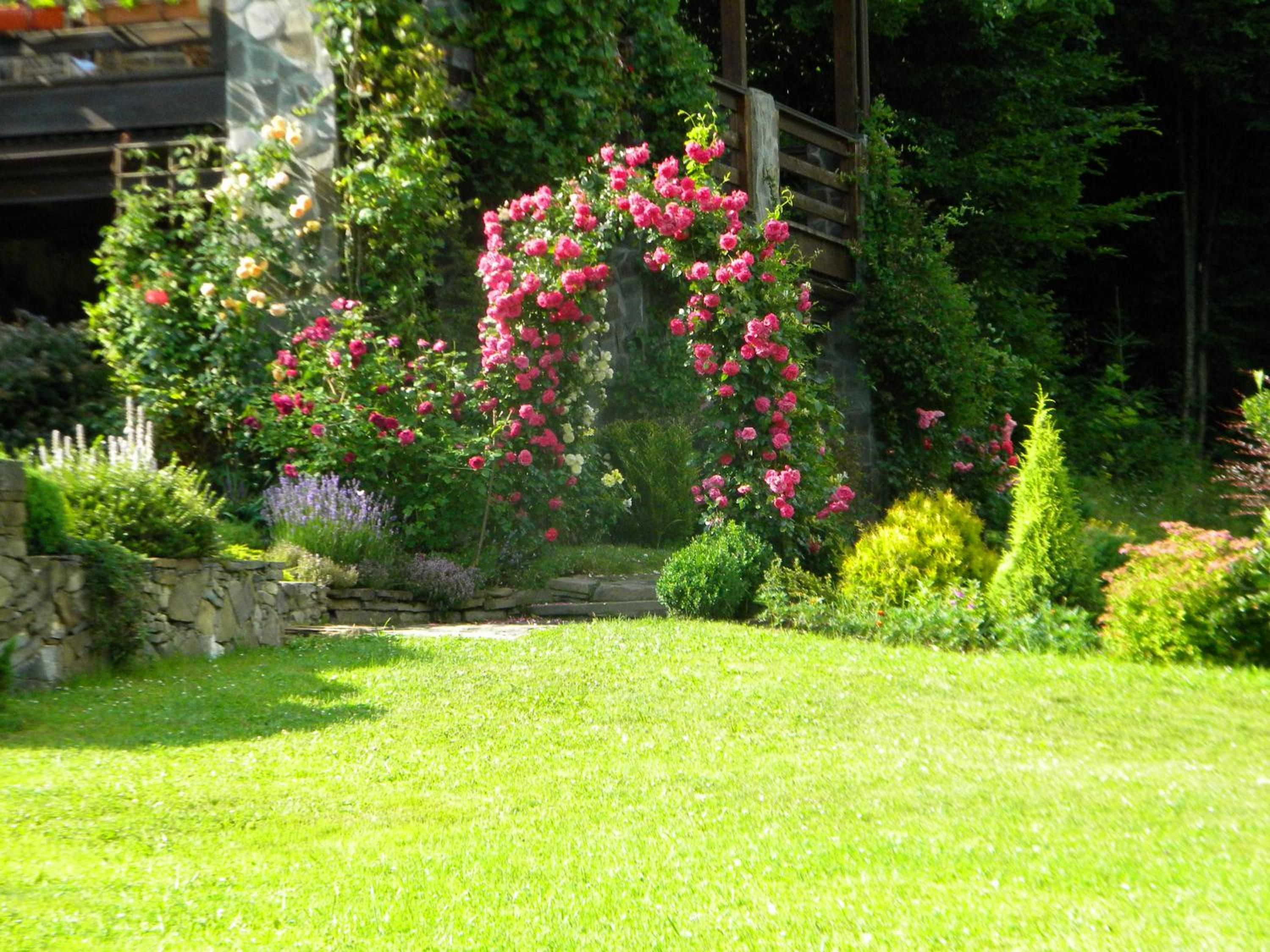Photo 43