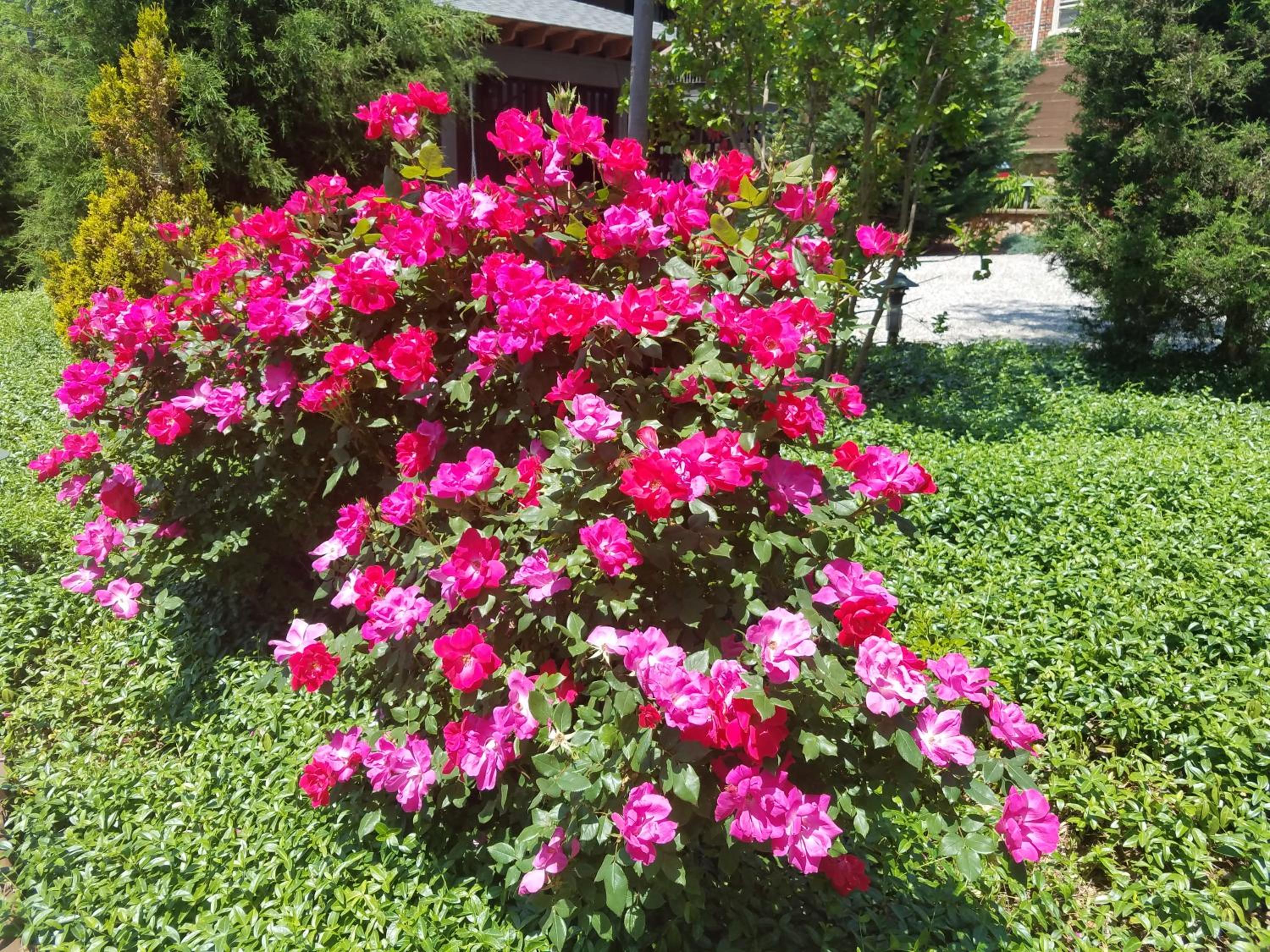 Photo 7