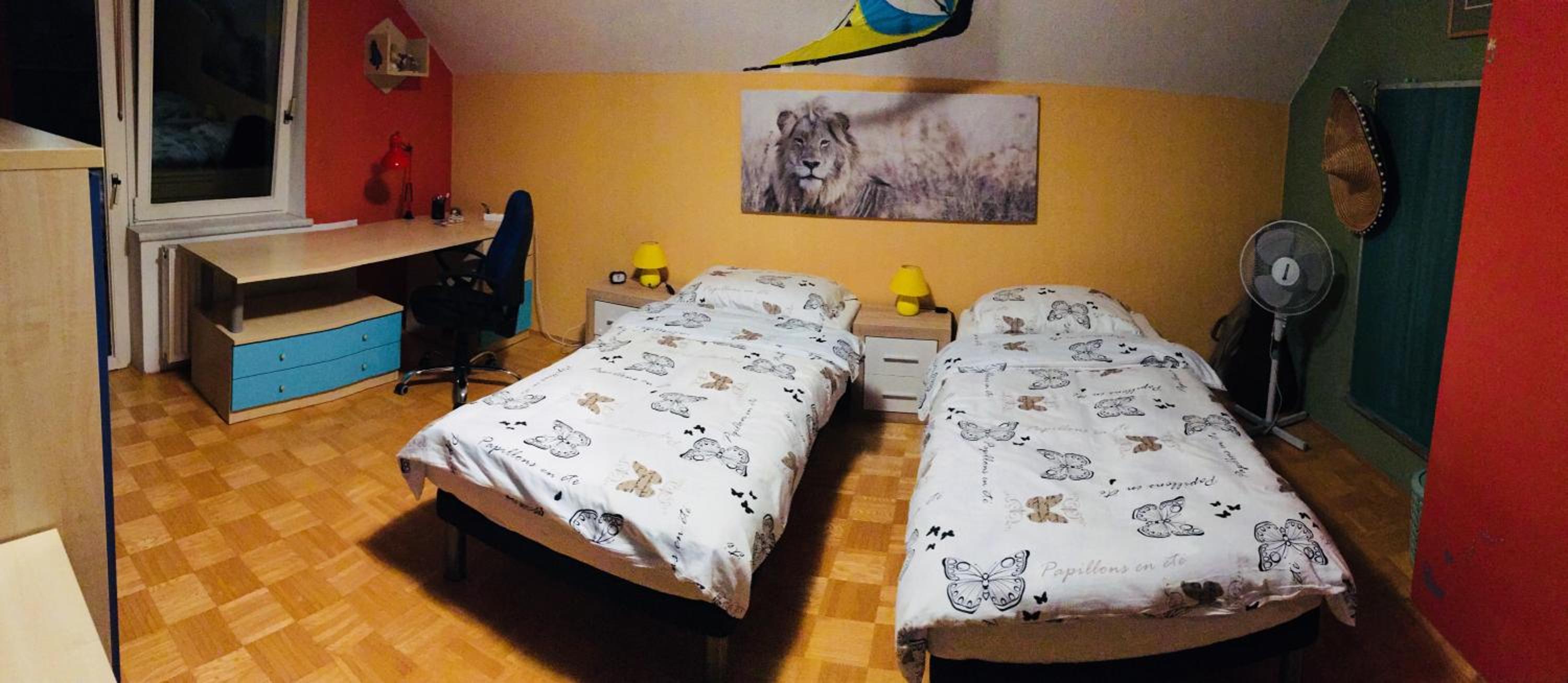 Photo 24