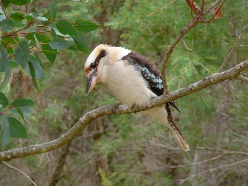 Margaret River Hideaway & Farmstay