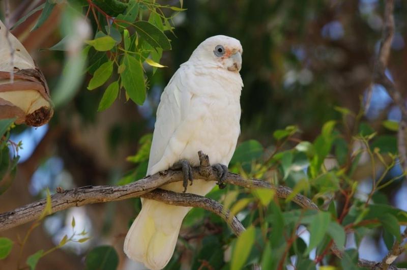 Margaret River Hideaway & Farmstay