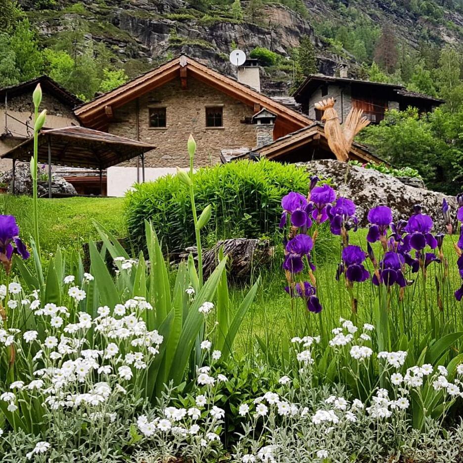 B&B Lo Djoua de Toueno view 2