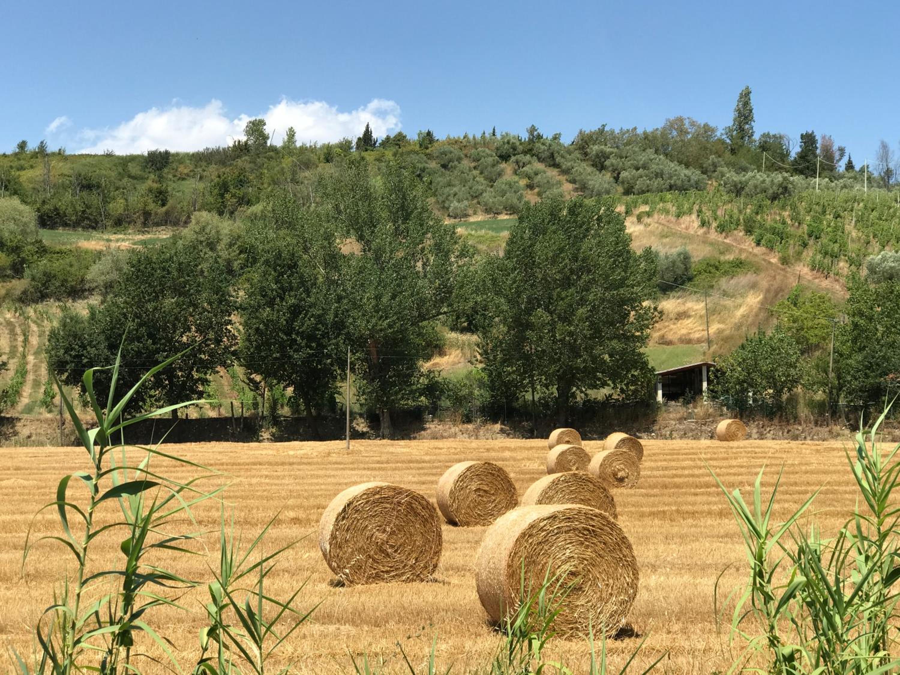 Il Sentiero dei Goti San Marino e Montefeltro