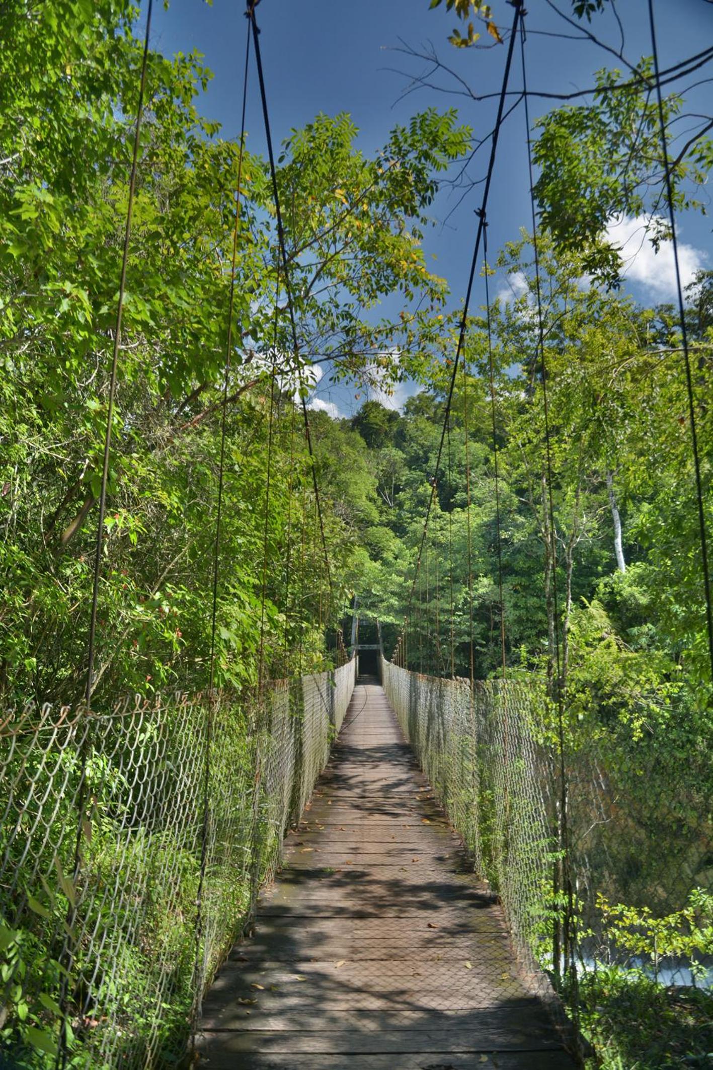 Ecolodge Las Nubes Chiapas