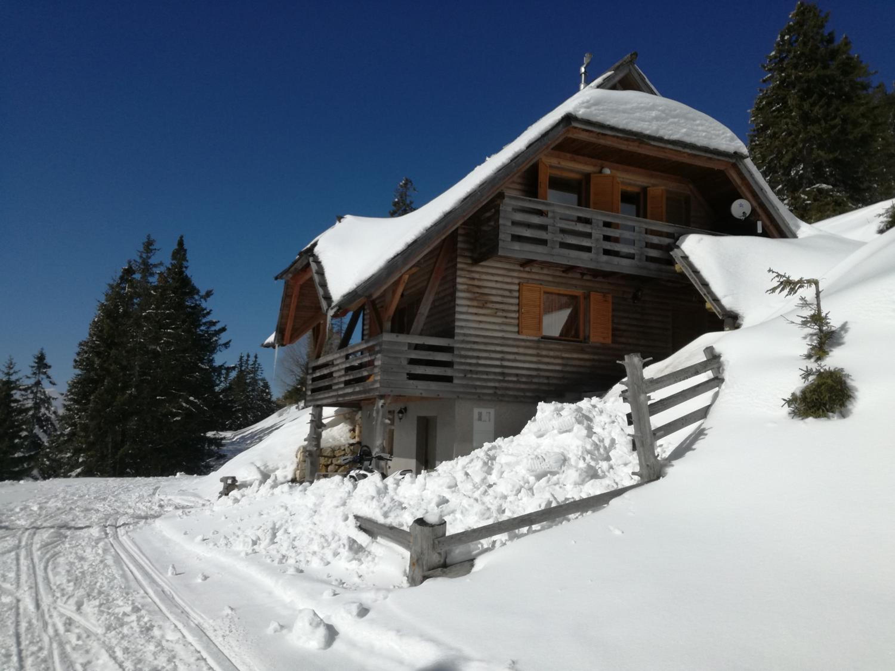 Photo 11
