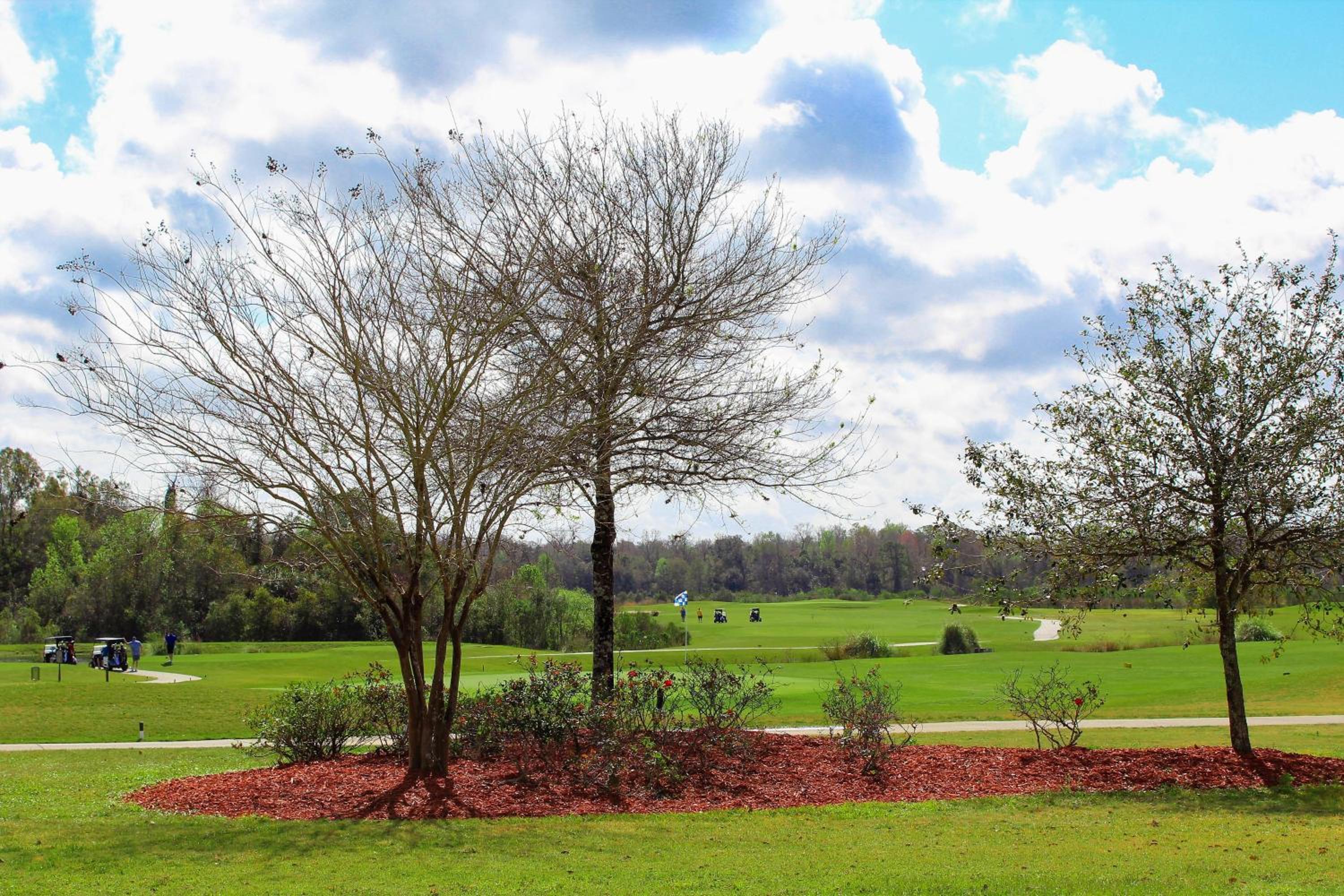 Palm Golf at White Rose Villas