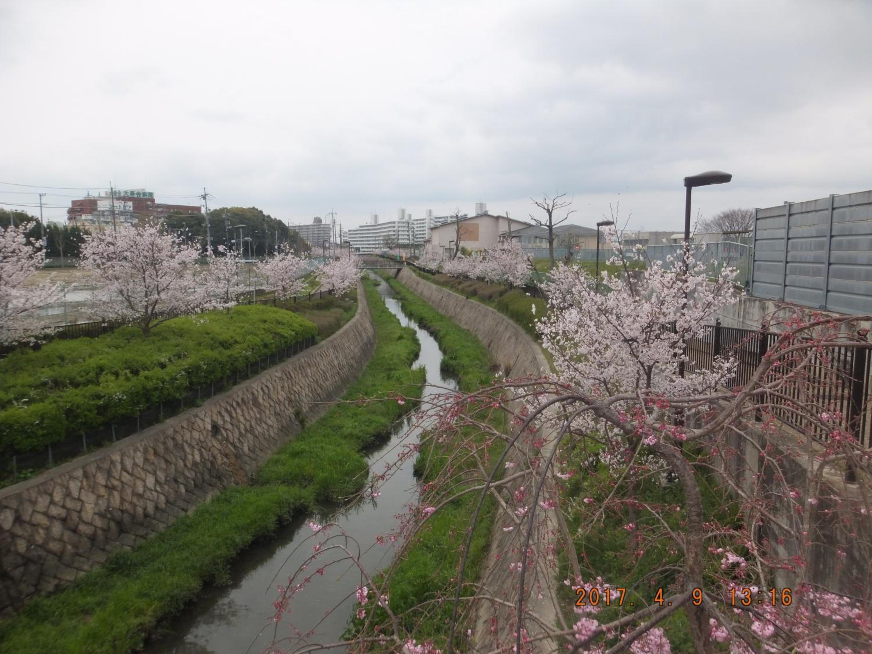 Hirakata-park Guesthouse view 4