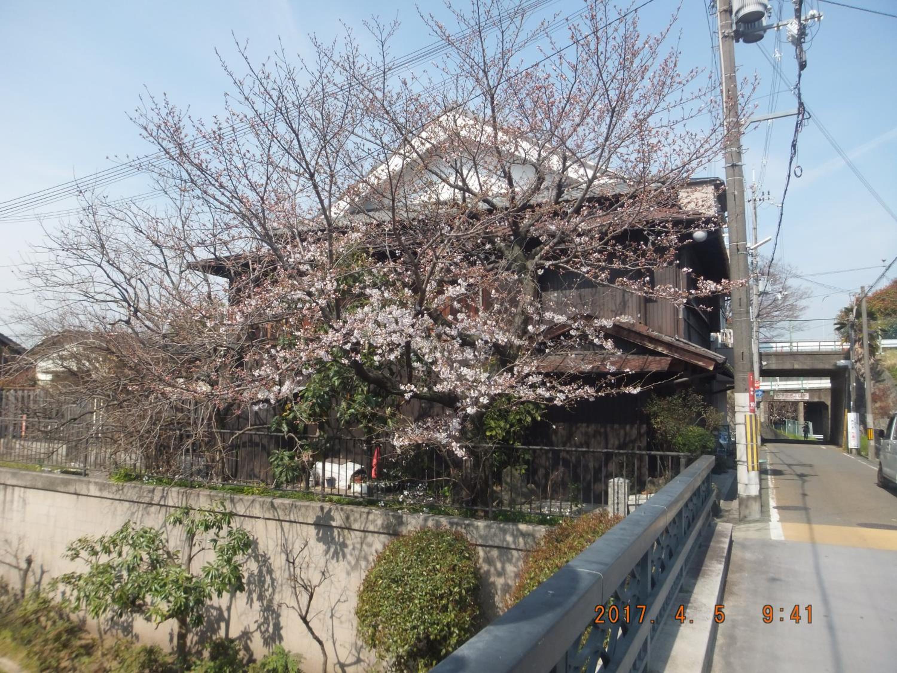 Hirakata-park Guesthouse view 5