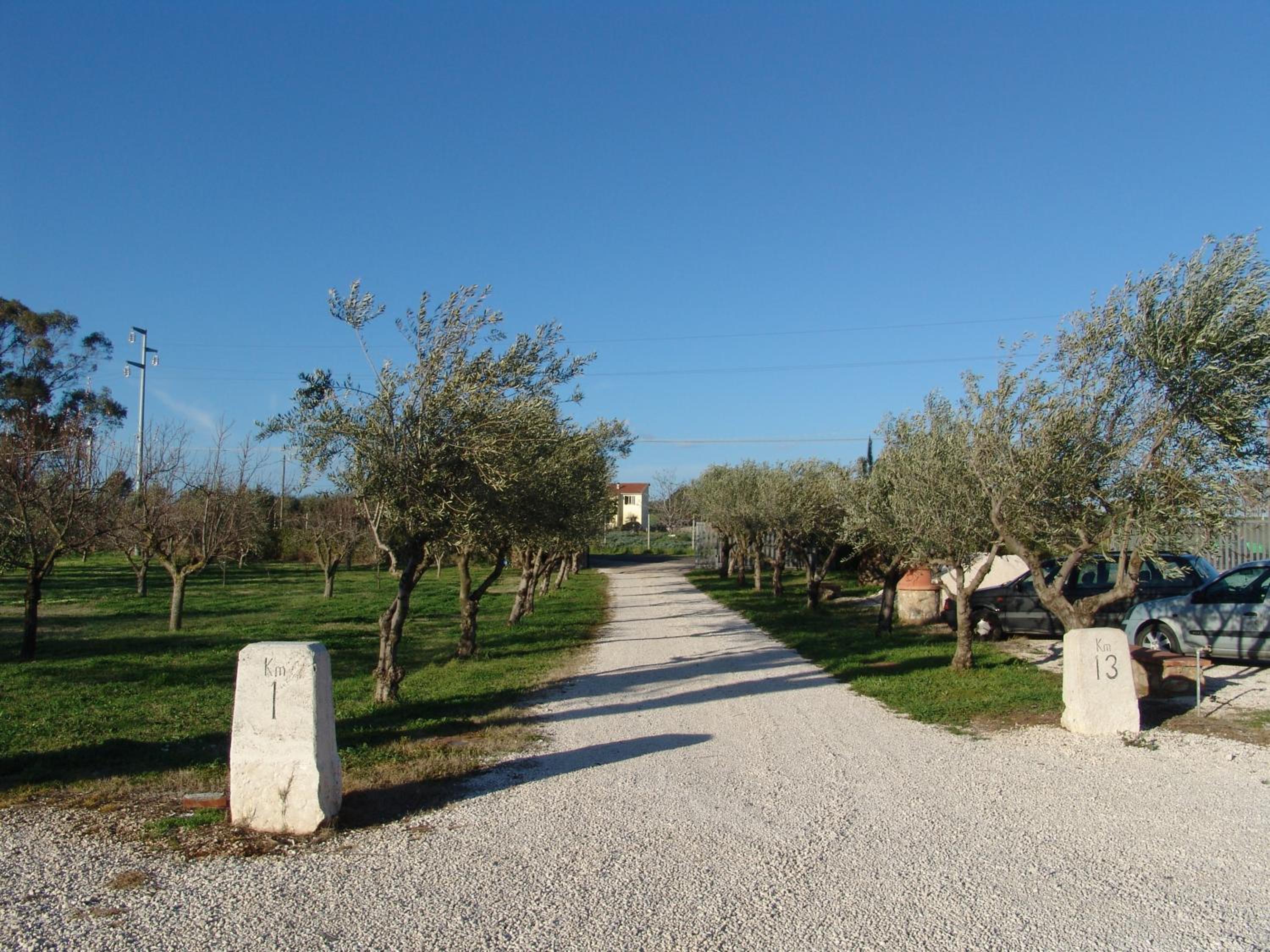 Podere 1248