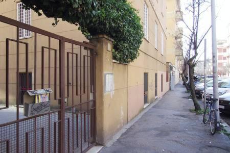 Roma Papalina