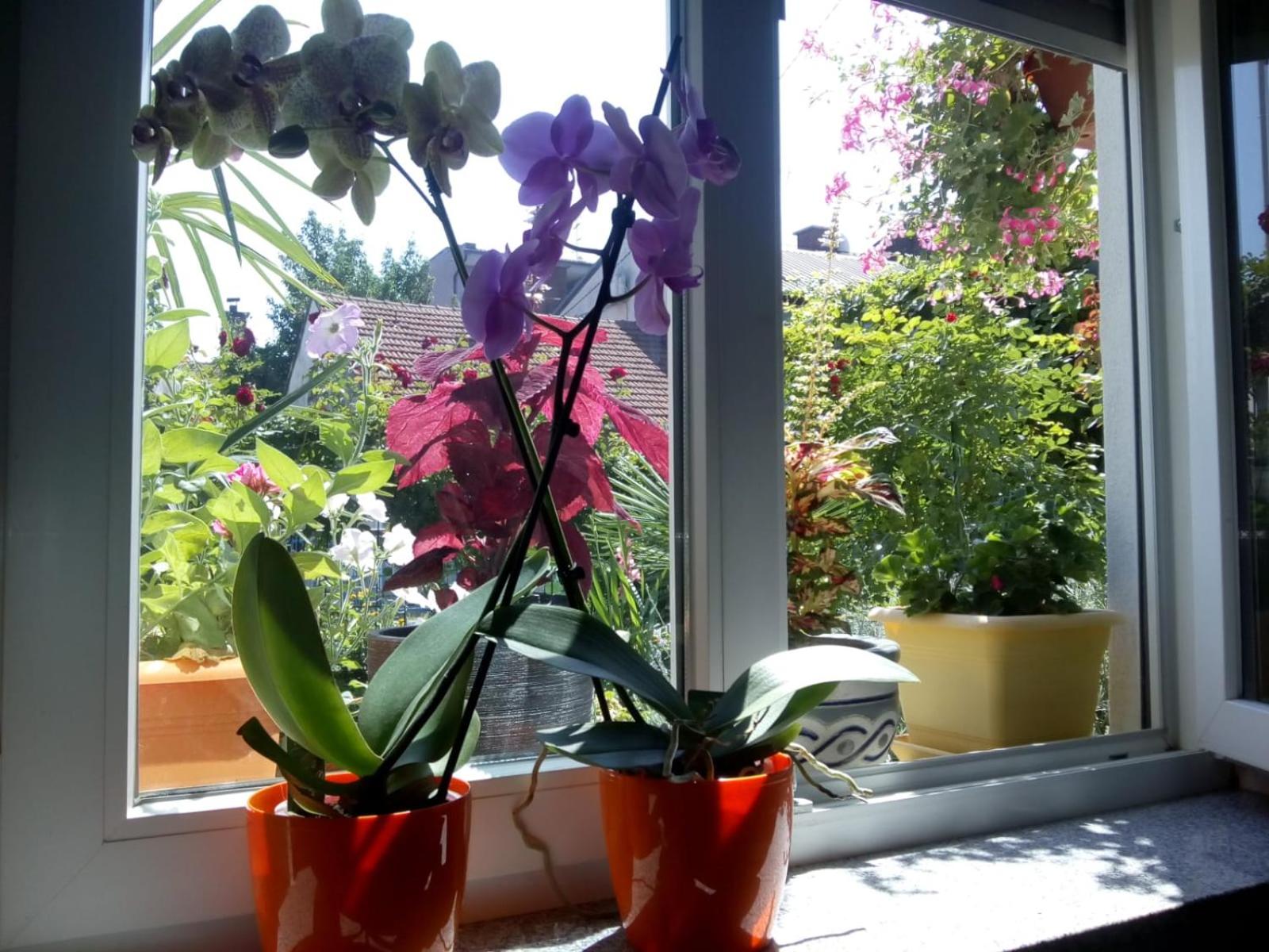 Apartman Teuta Zagreb