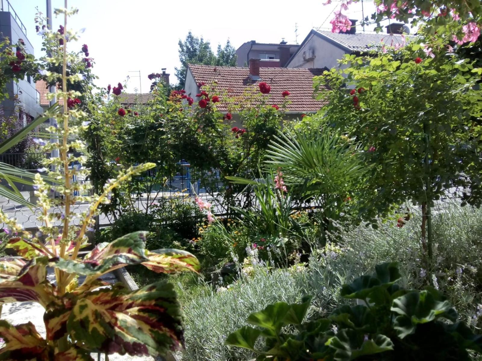Apartman Teuta Zagreb