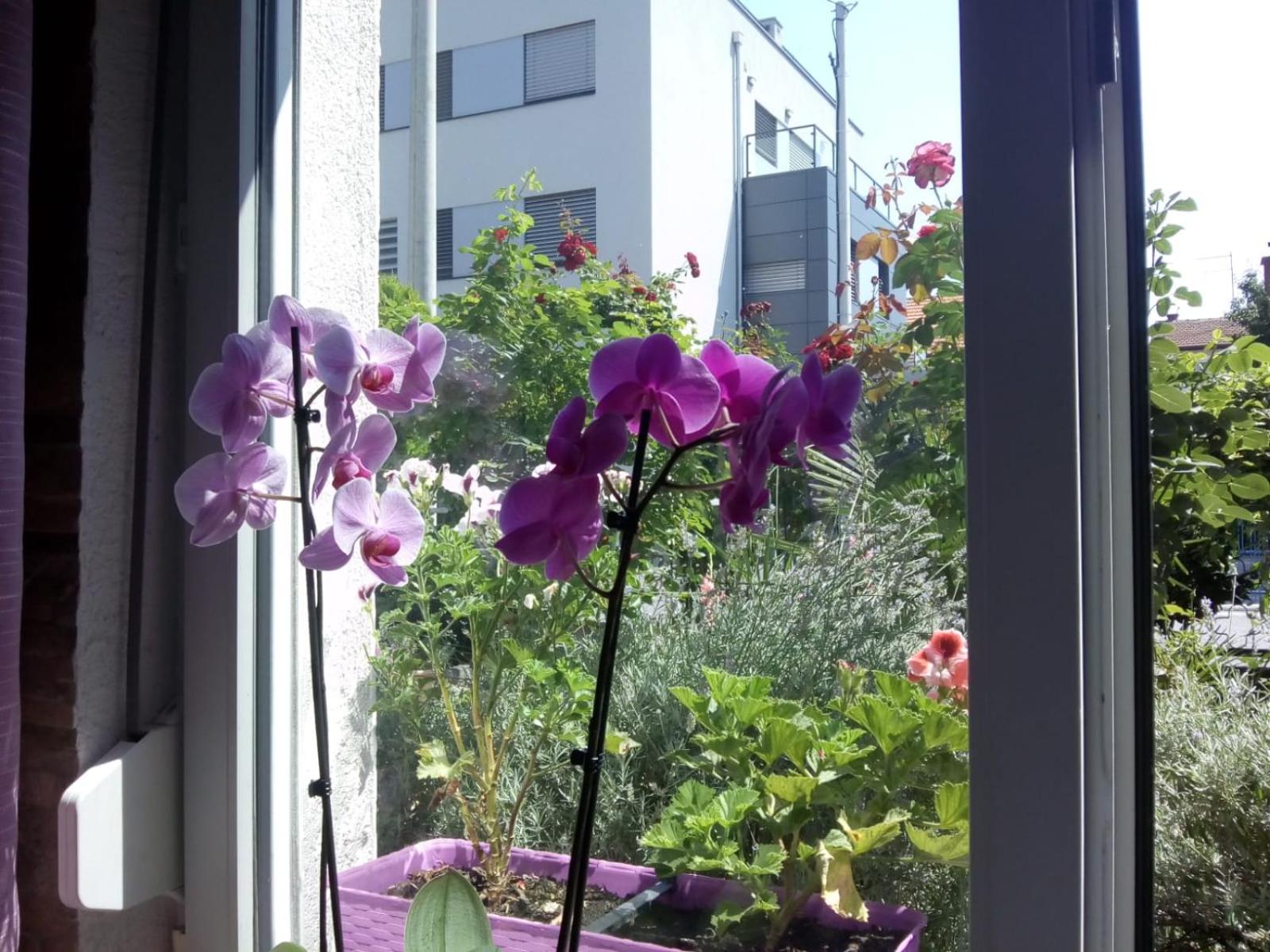 Apartman Teuta Zagreb
