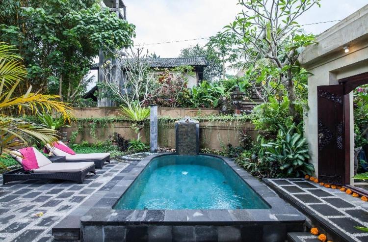 Photo 112