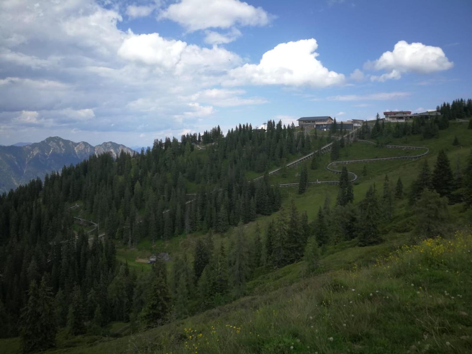 Alpbachblick