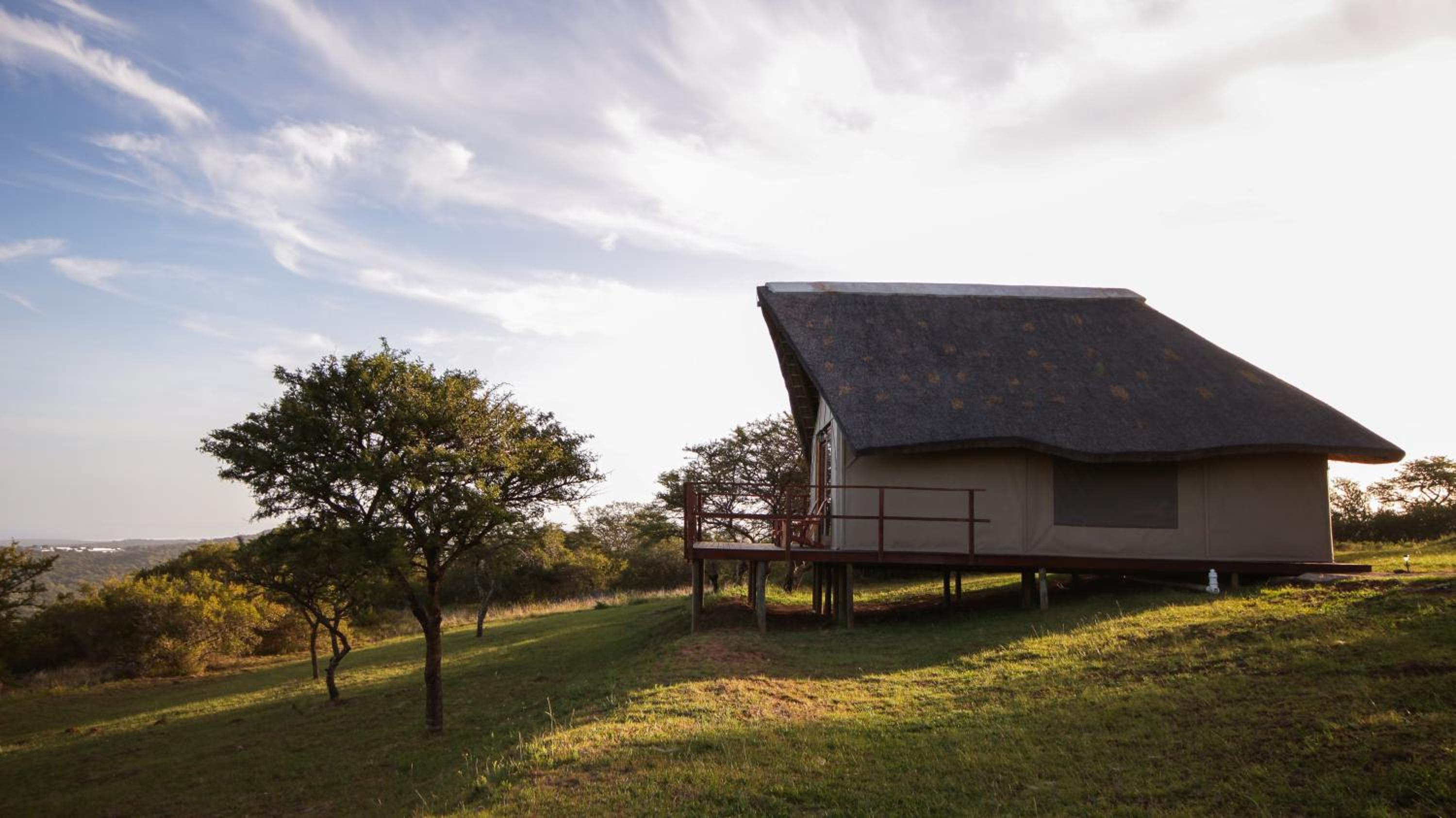 Jbay Zebra Lodge