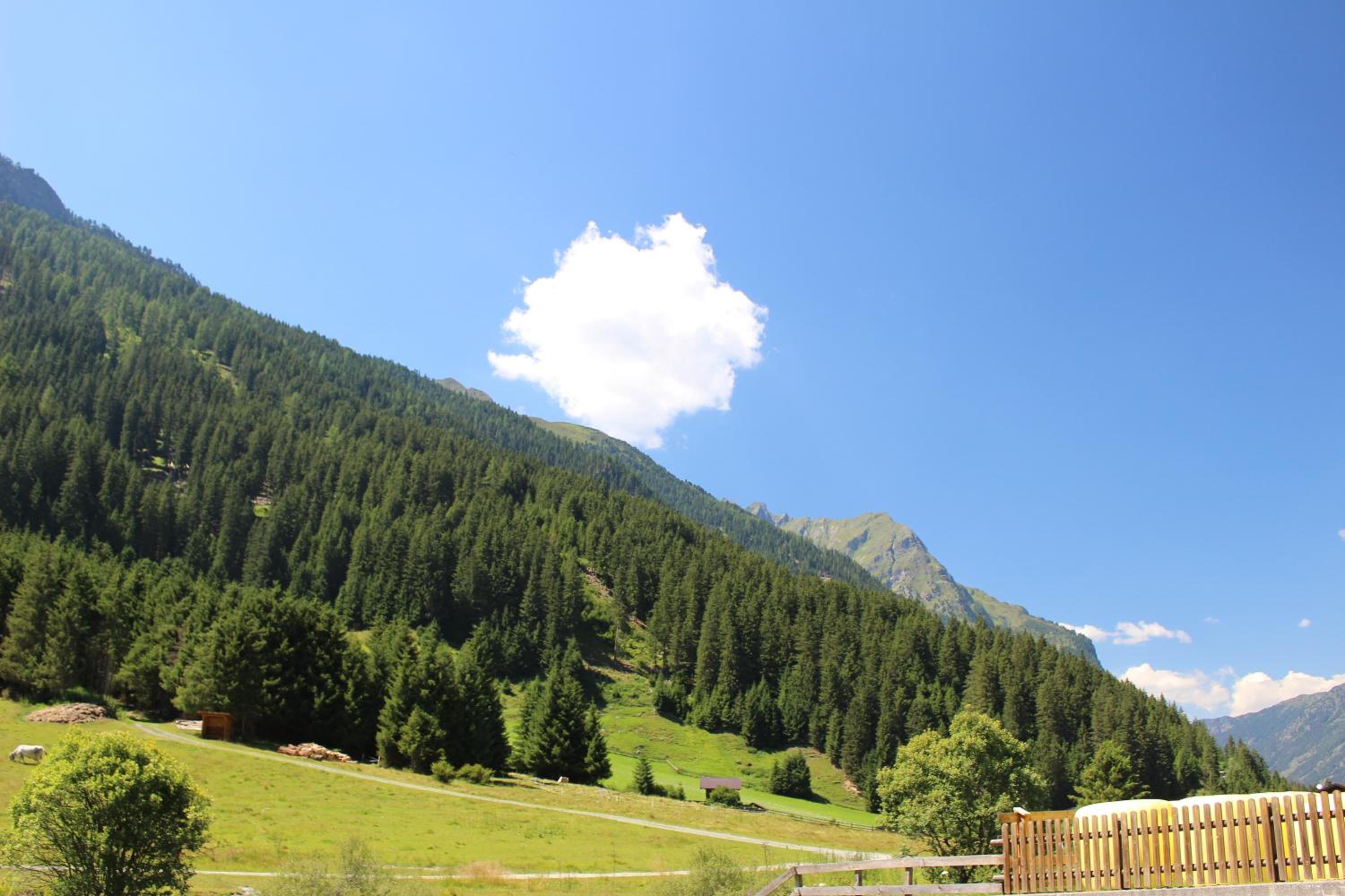 Apart Alpenjuwel