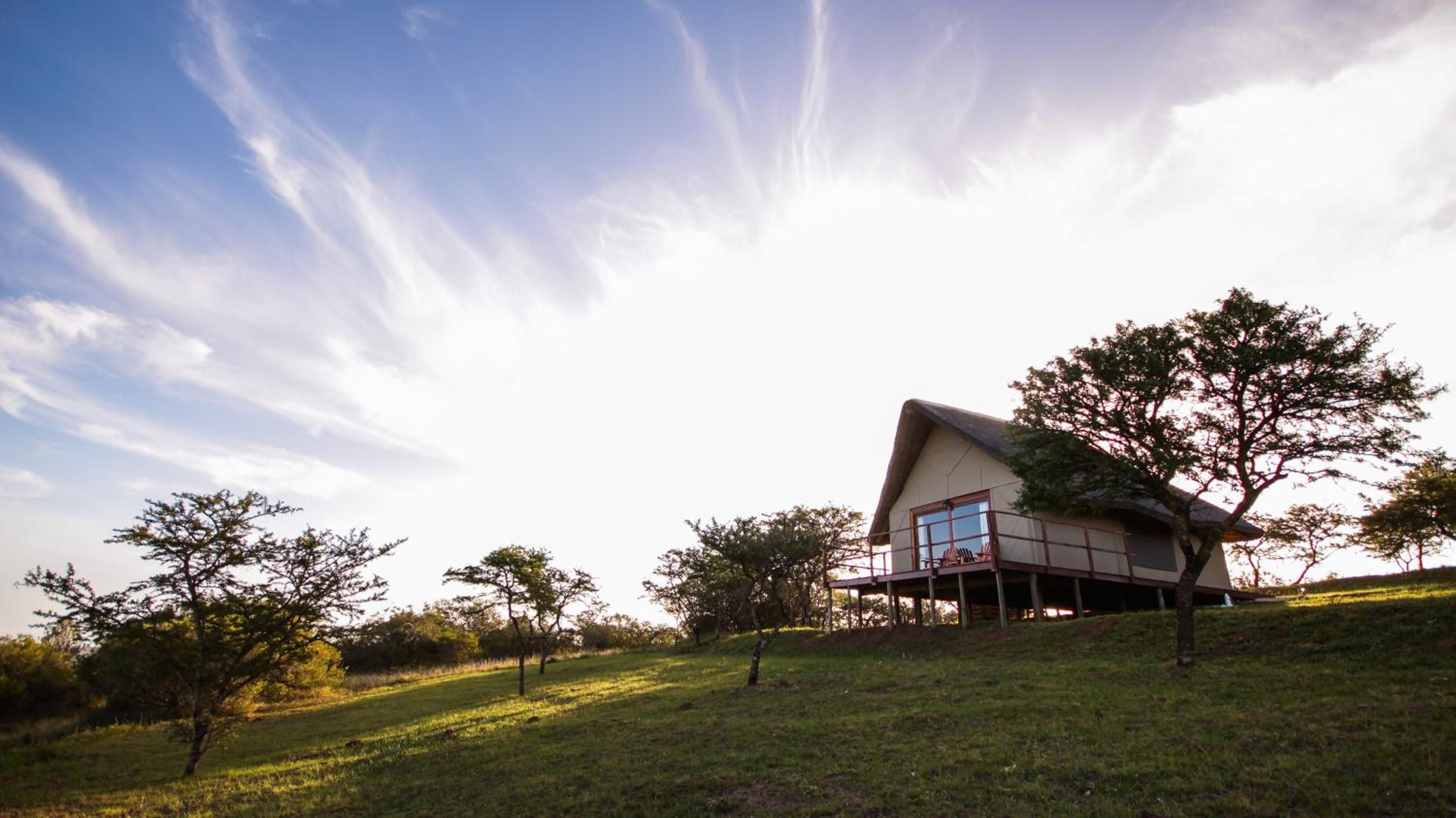 Jbay Zebra Lodge