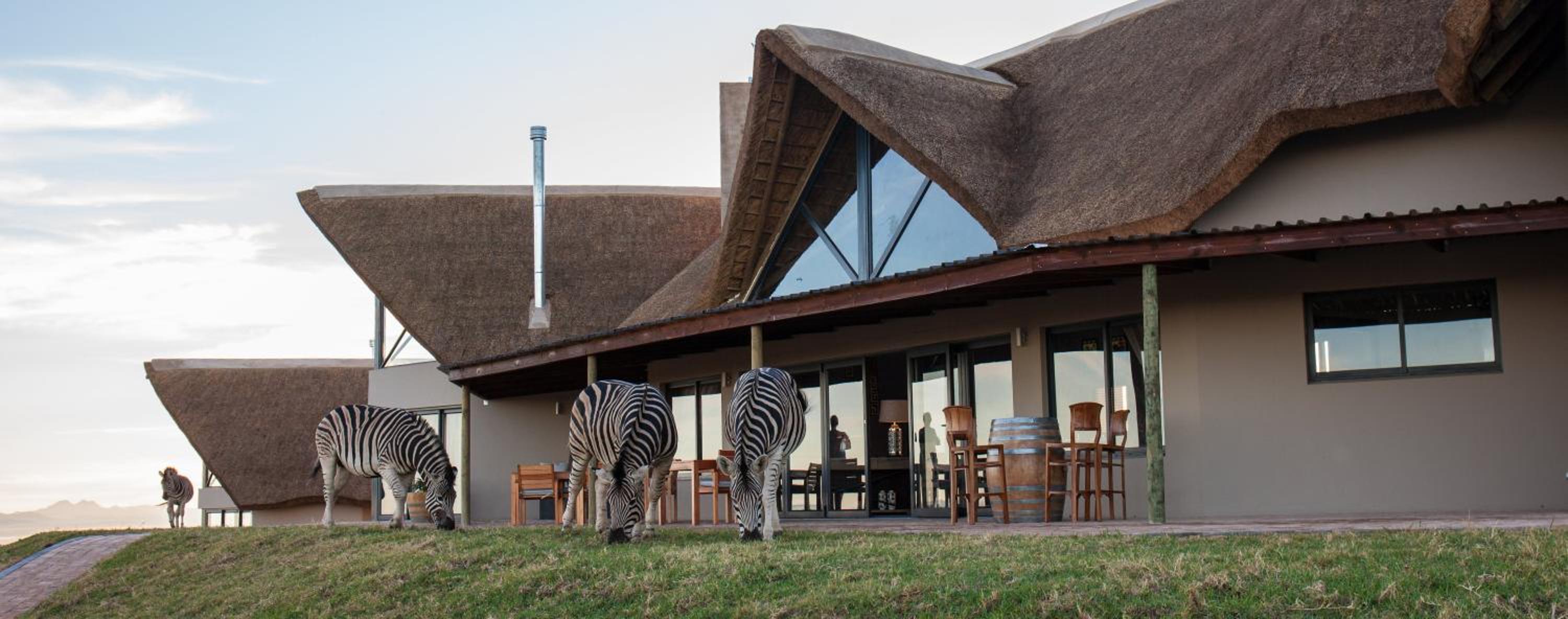 Jbay Zebra Lodge