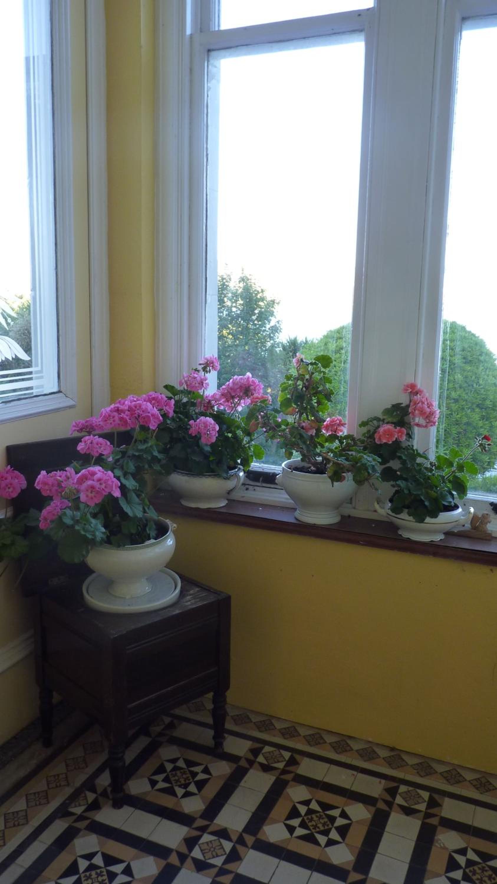 Photo 29