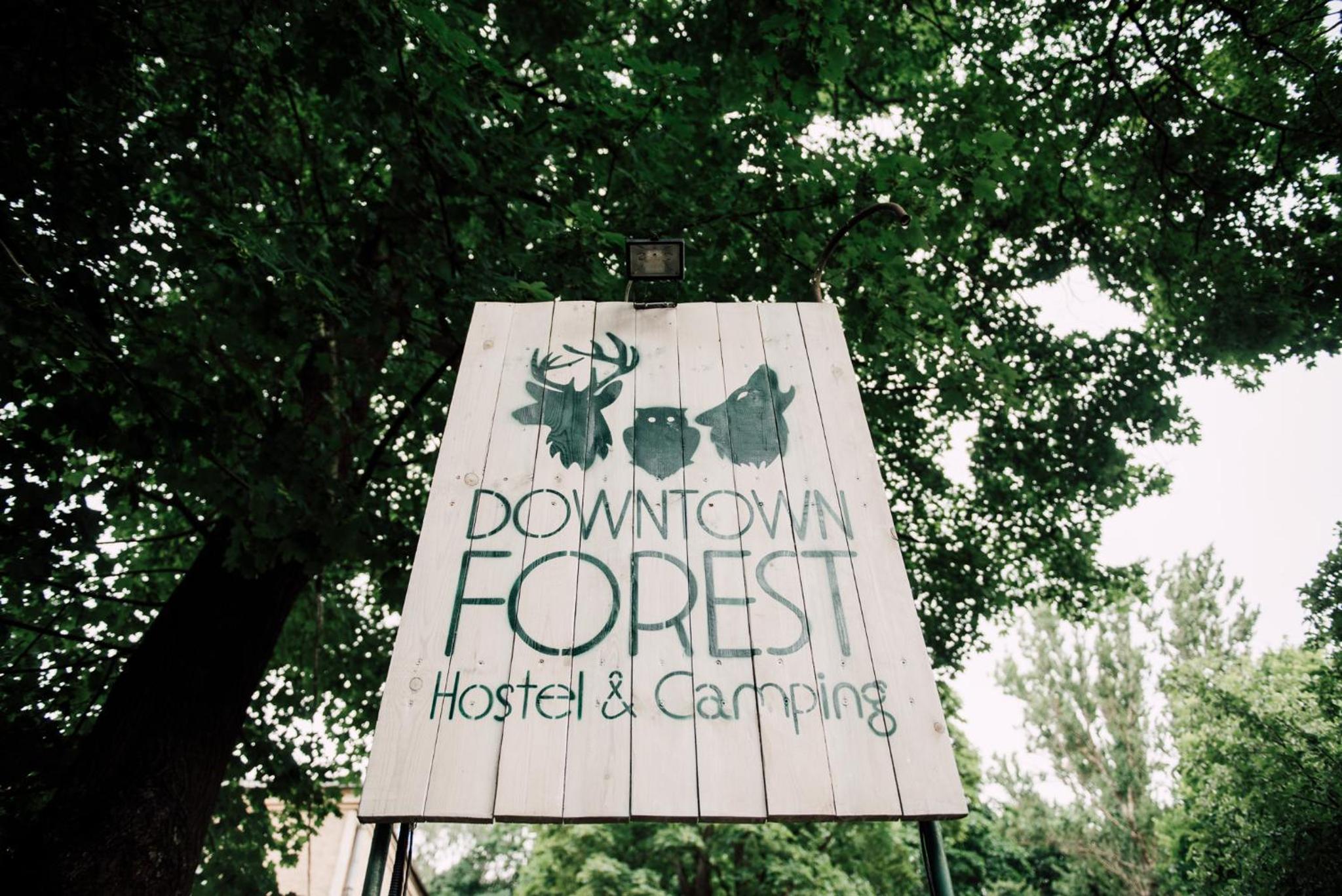Downtown Forest Hostel & Camping
