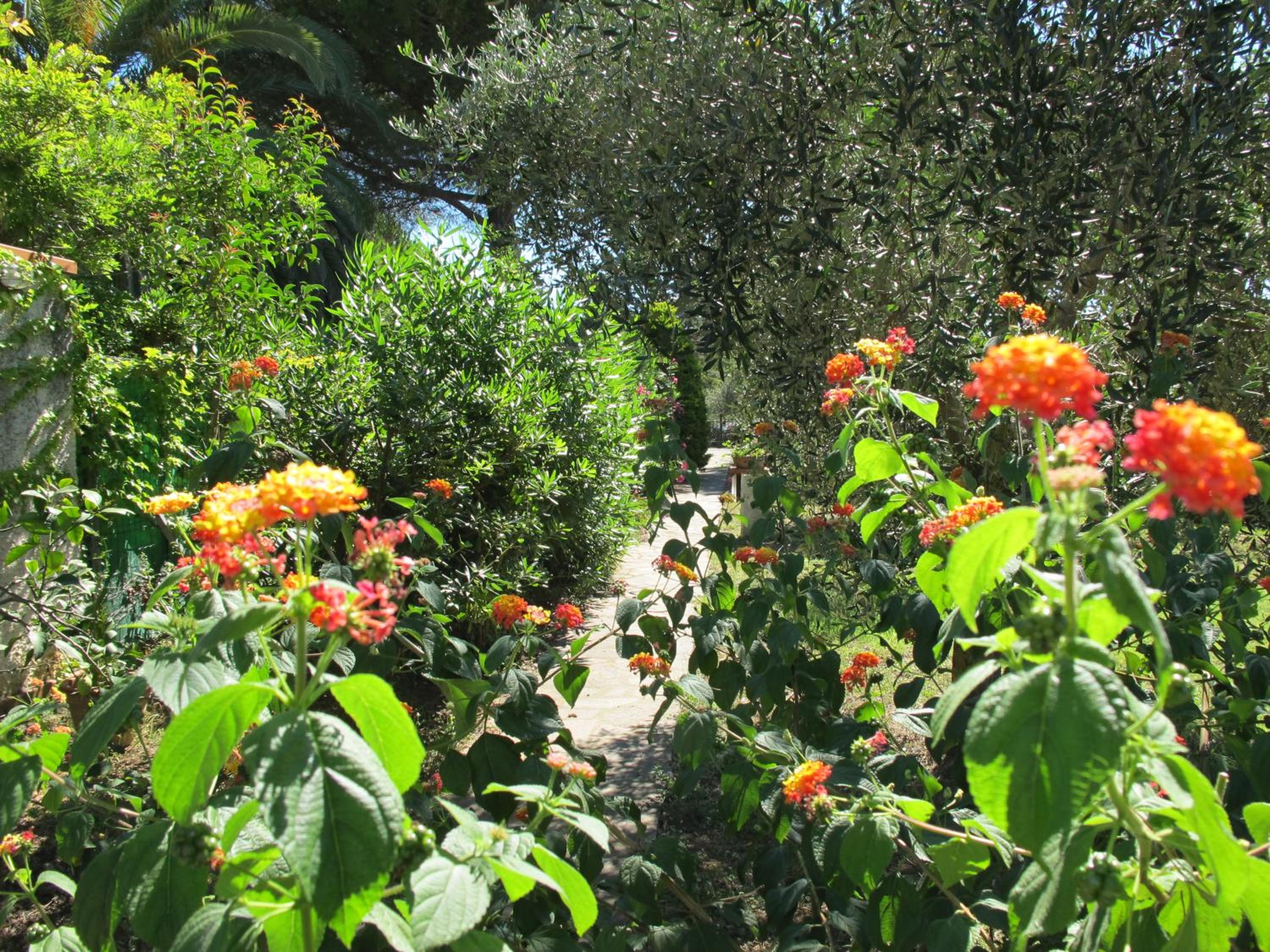 Photo 22