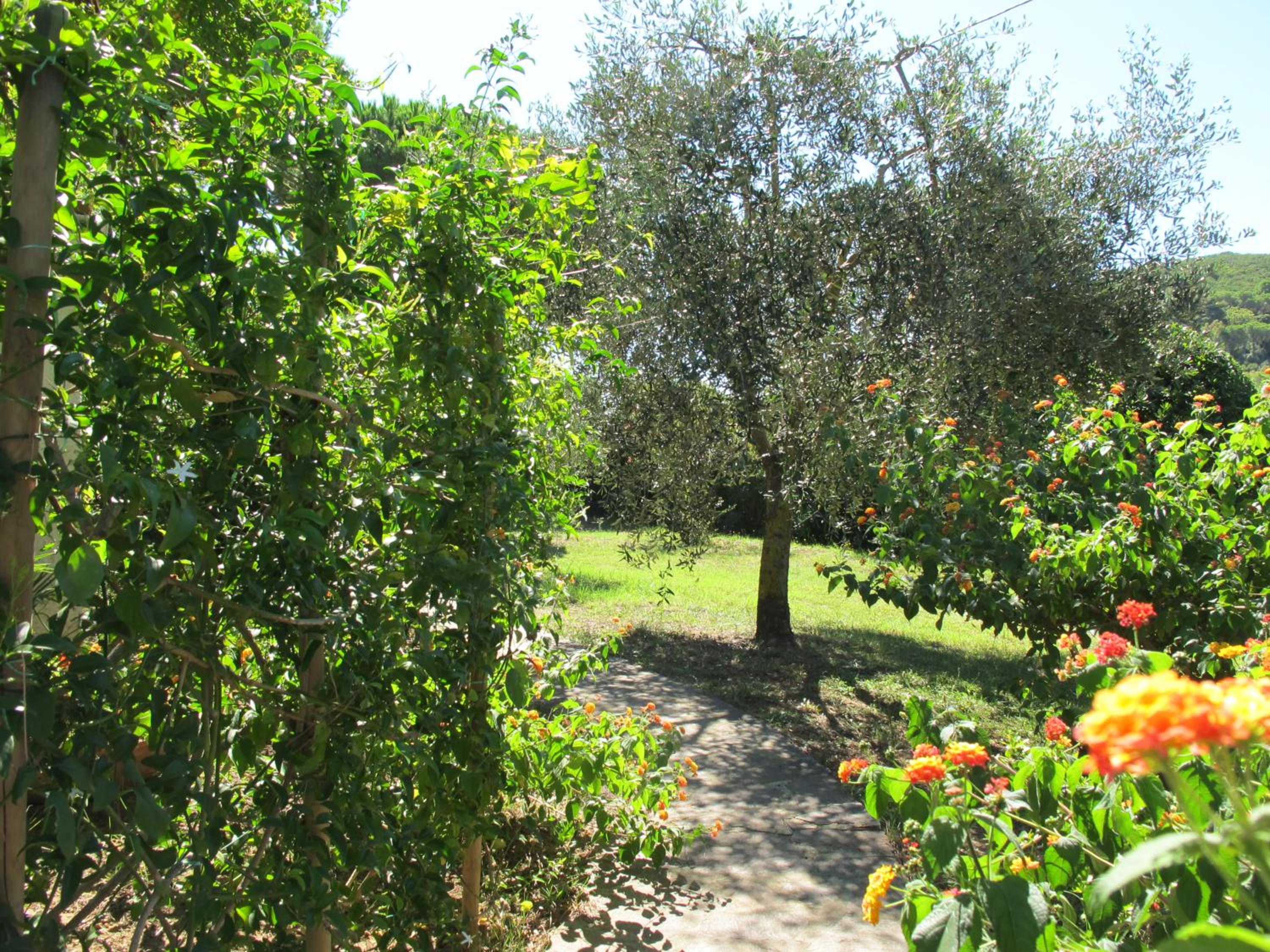 Photo 29