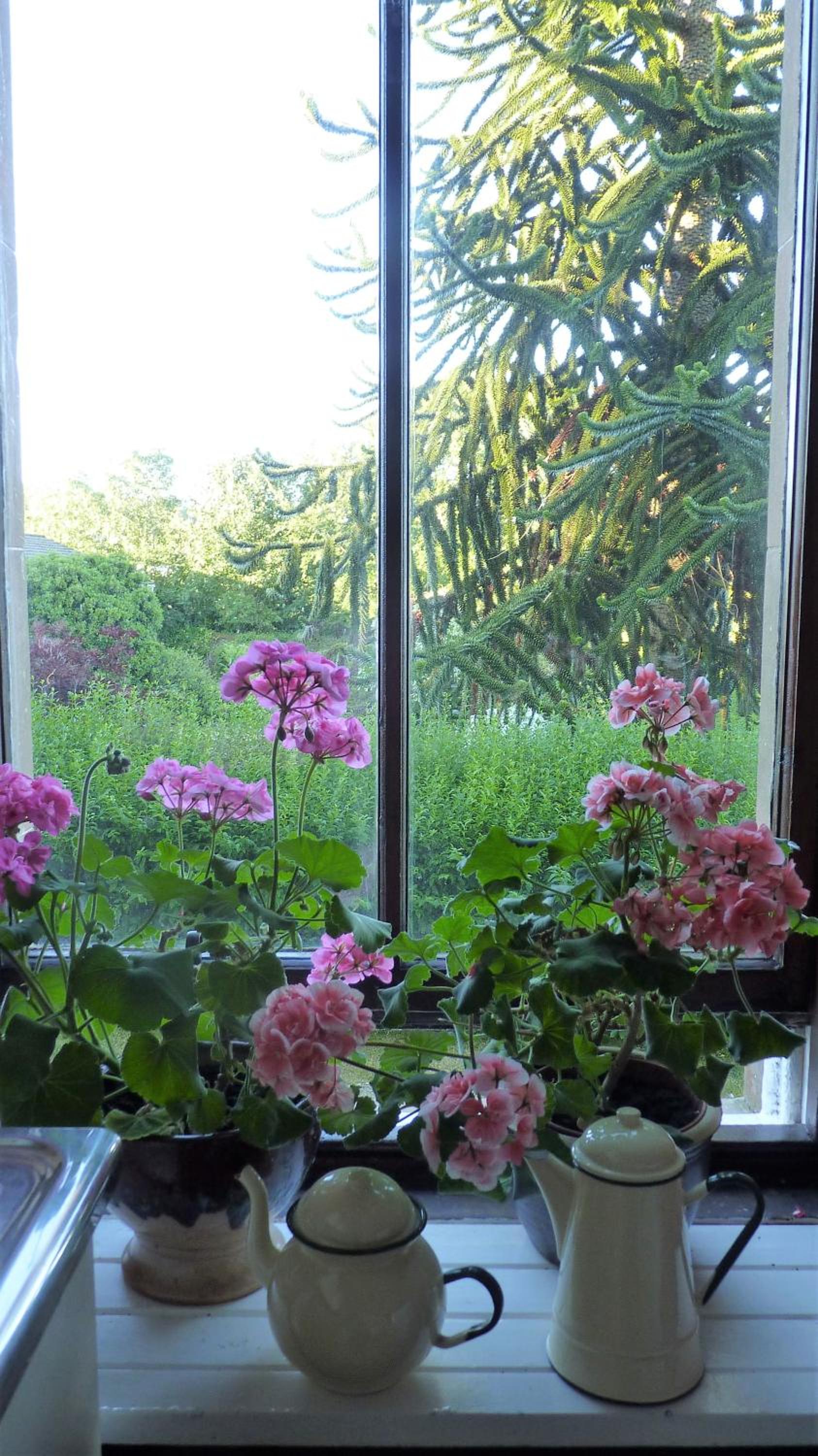 Kinneil Self Catering view 3