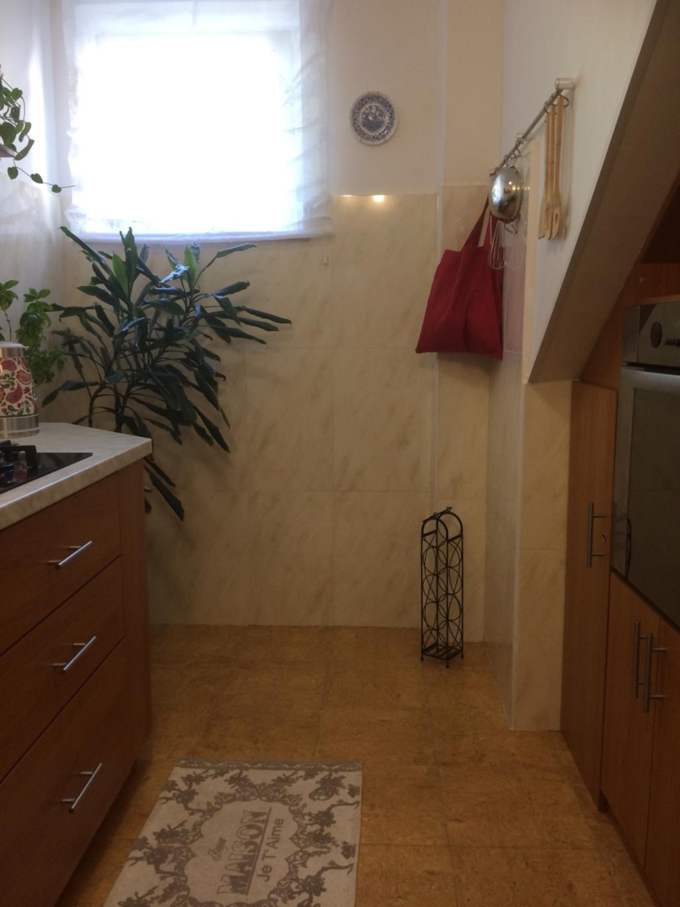 Apartman Vitis