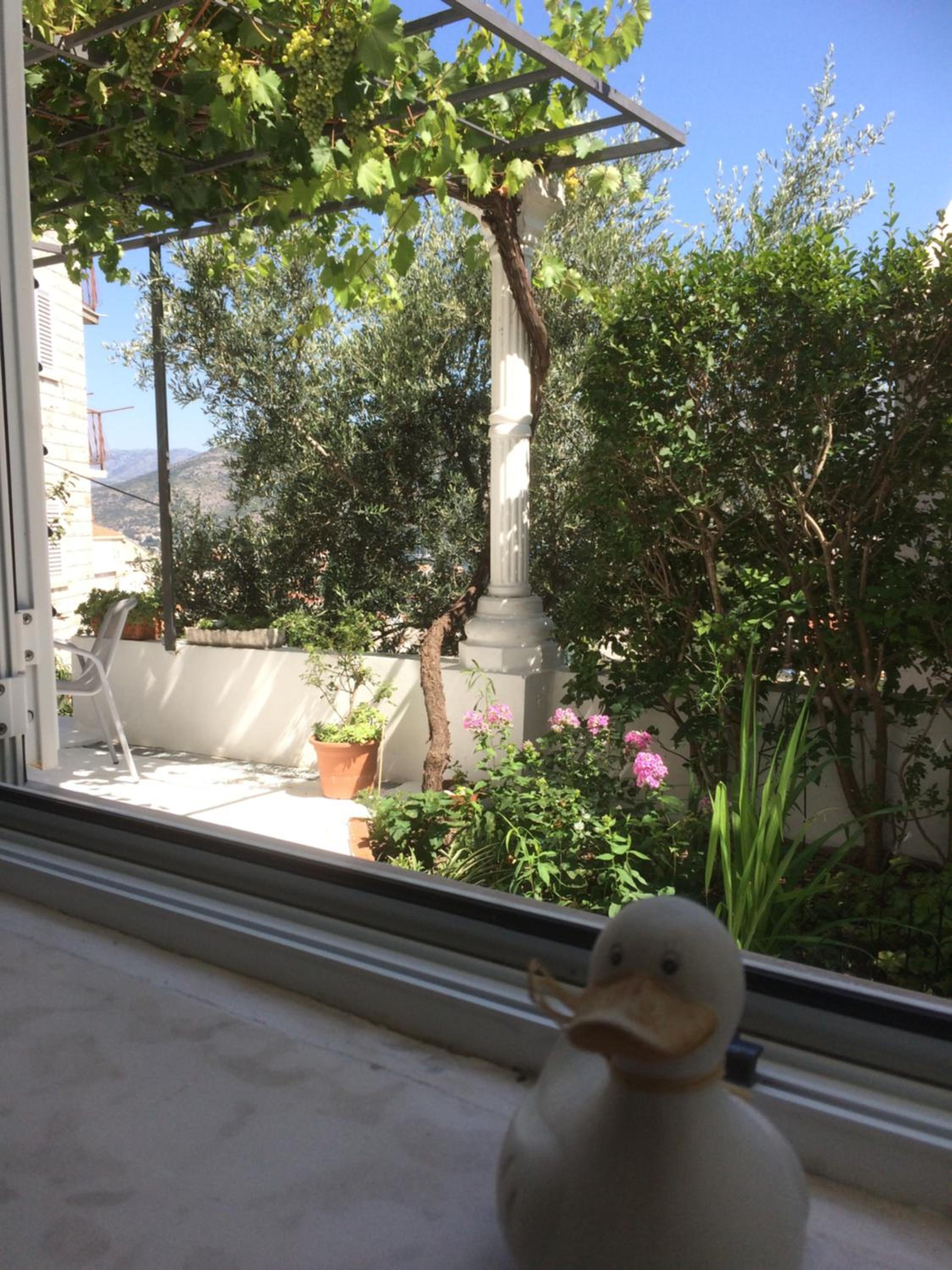 Apartman Vitis