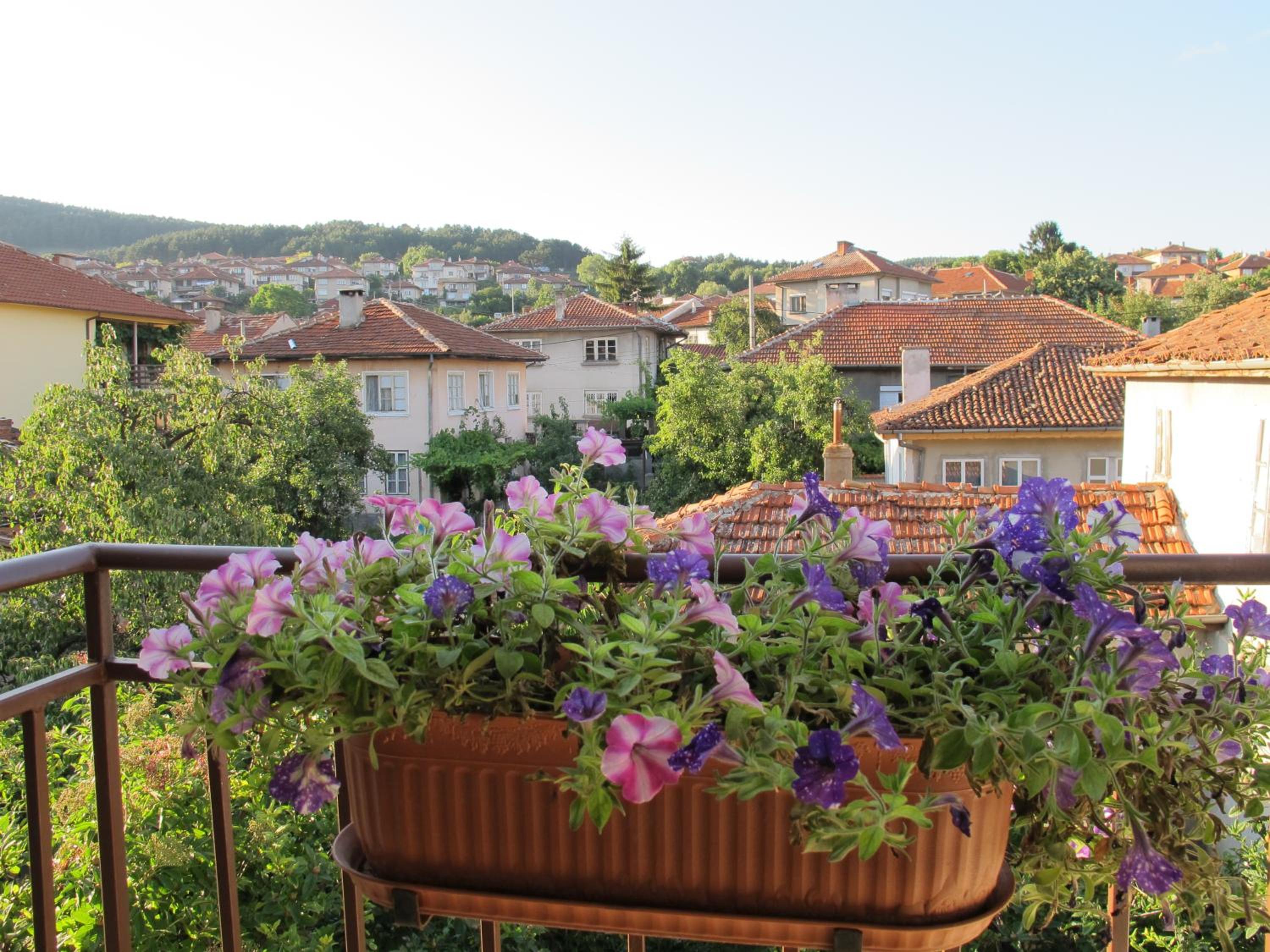 Guest House & Bistro Lefterova