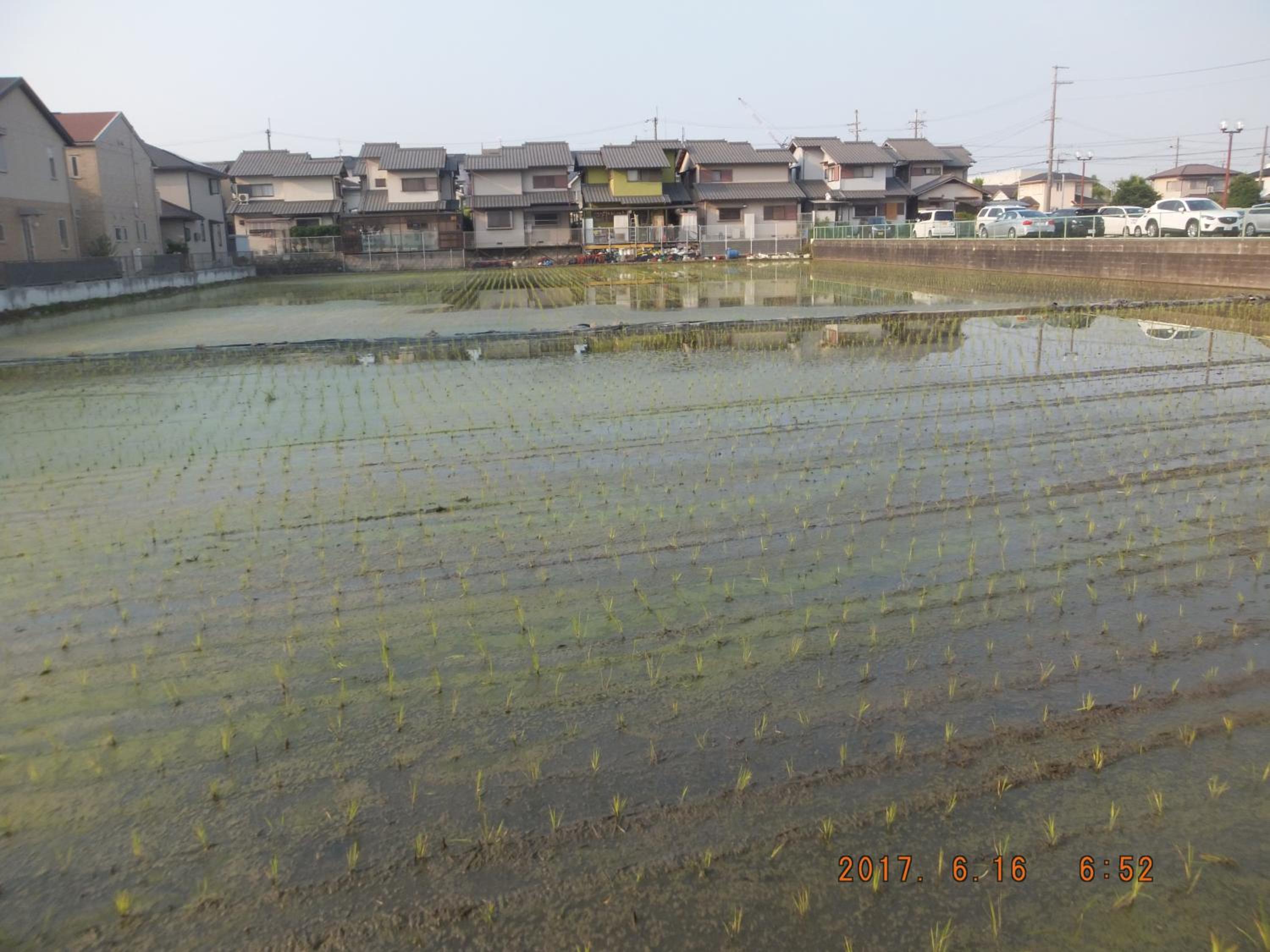 Hirakata-park Guesthouse view 3