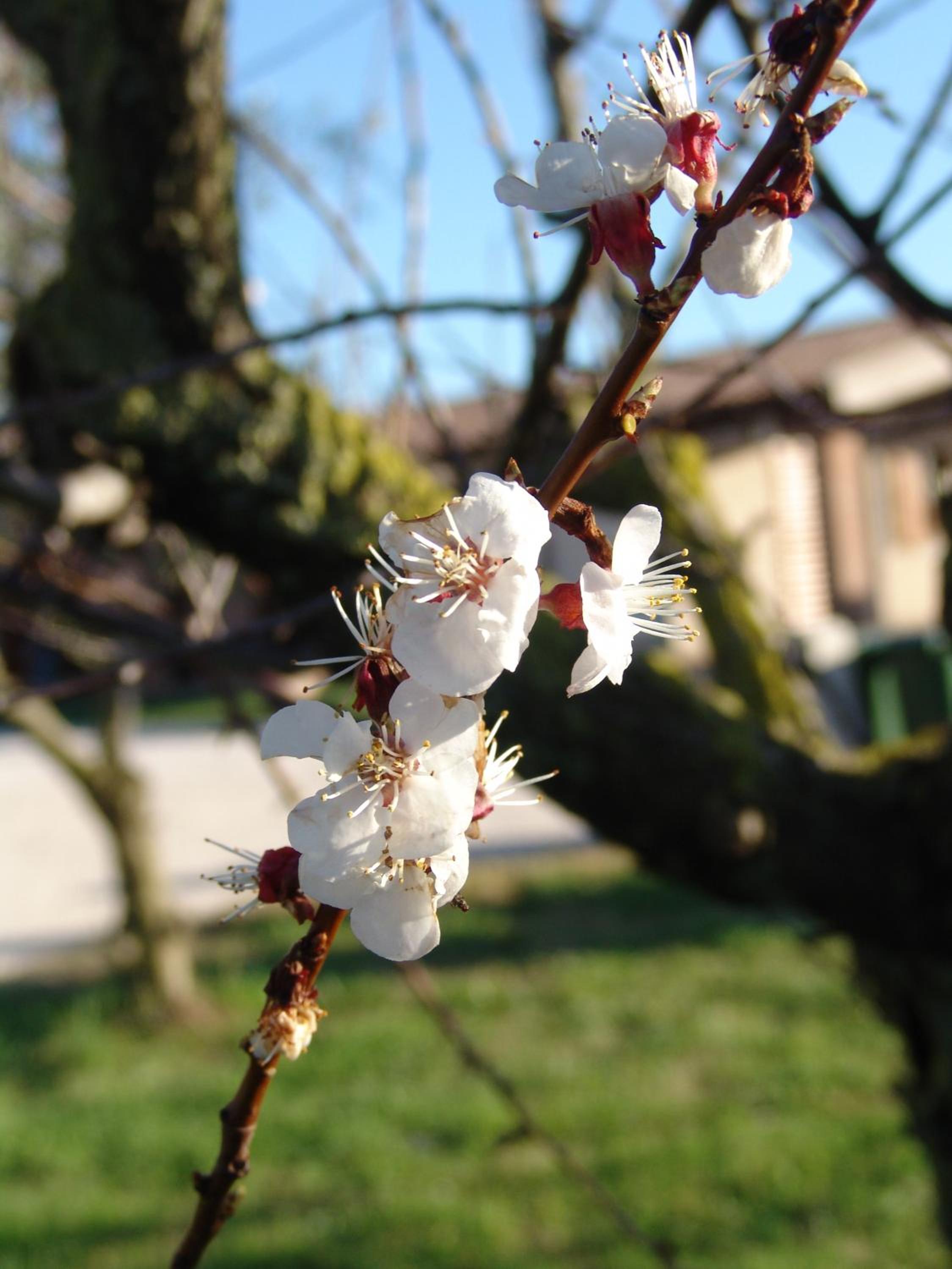 Podere 1248