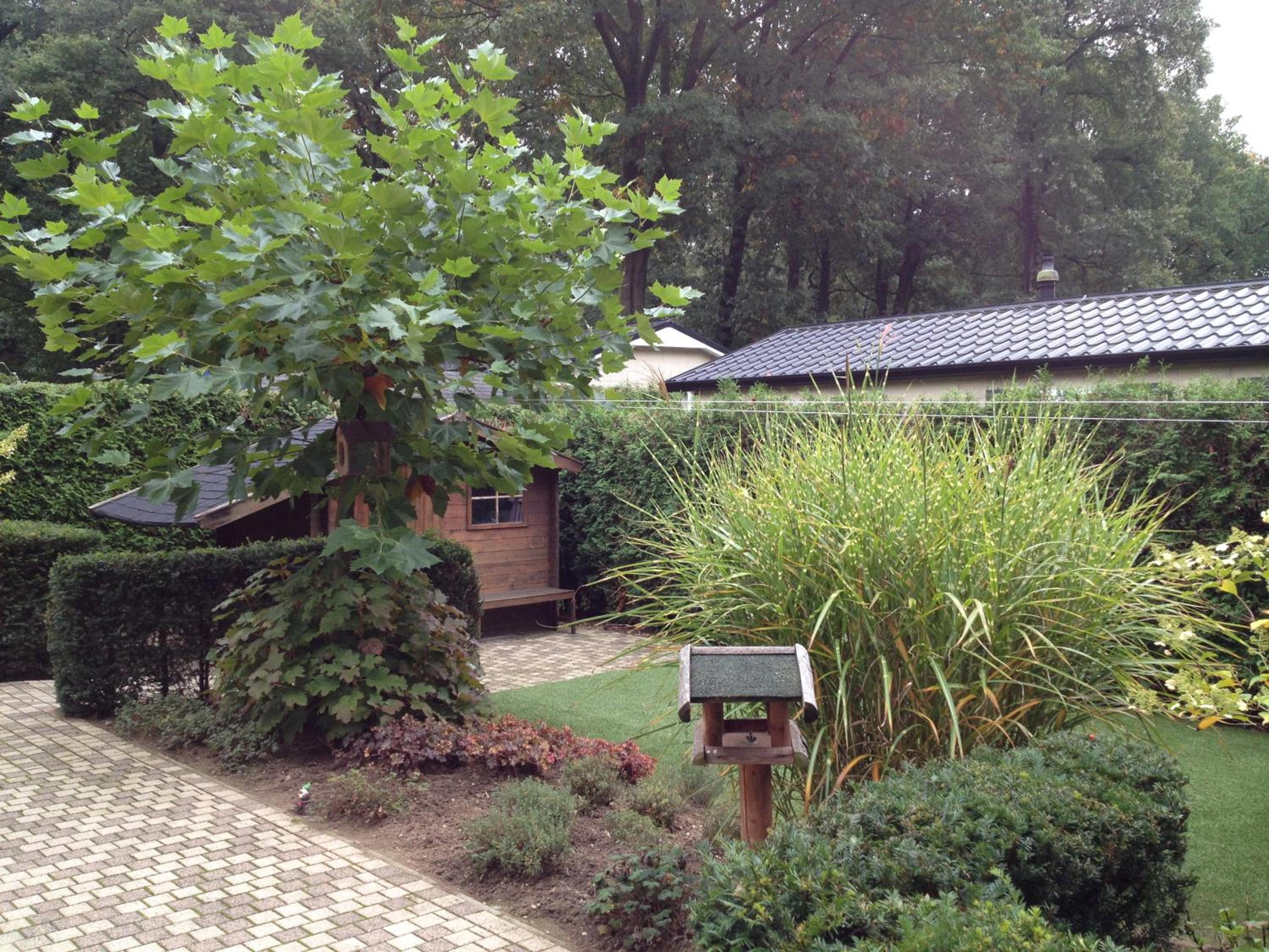 Photo 12